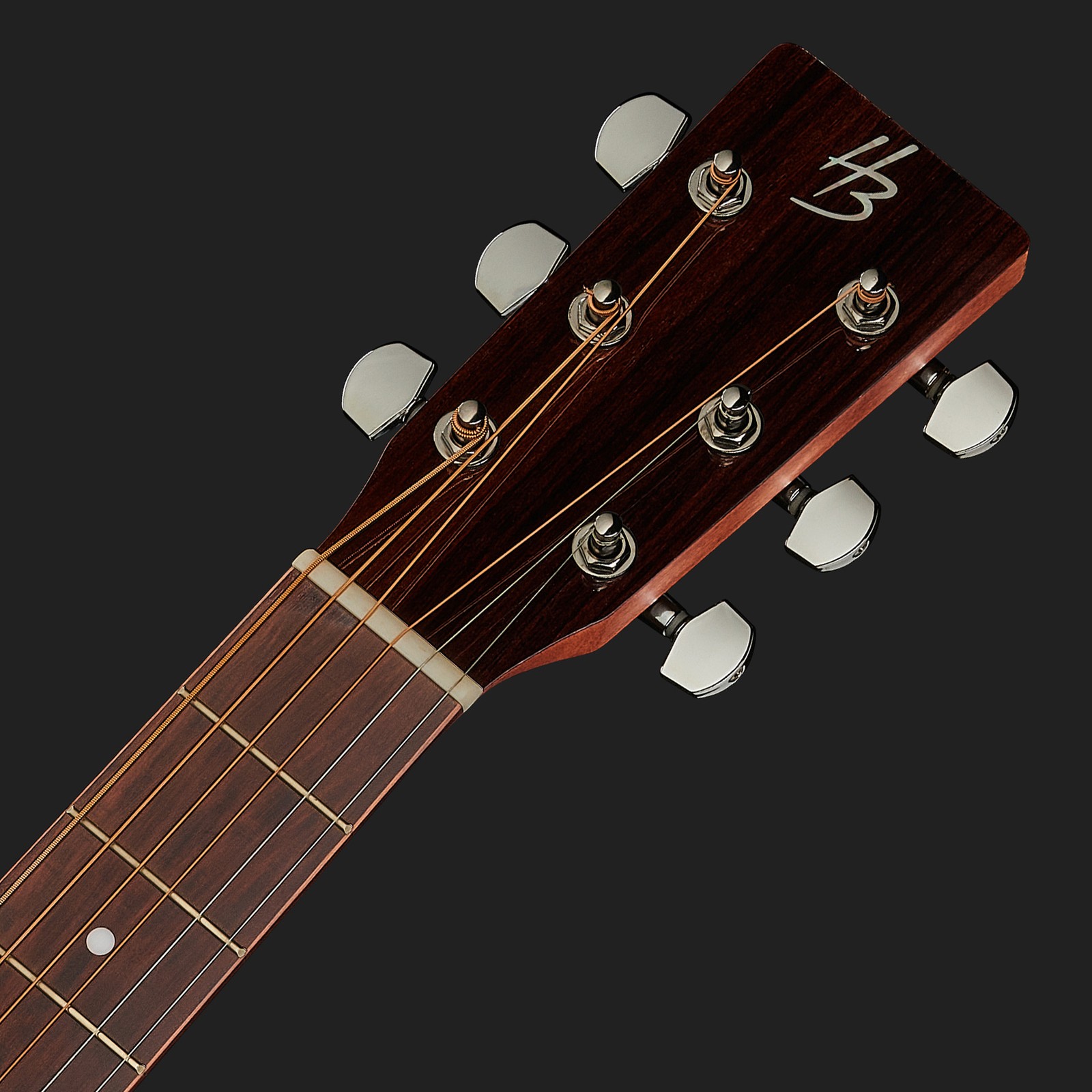 Harley Benton Kopfplatte und breiter Hals