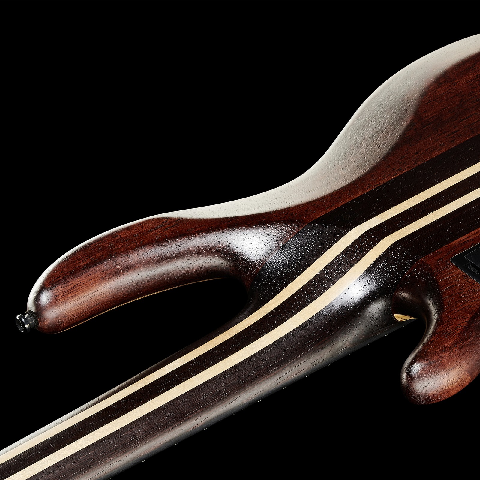 Cort A5 Ultra Ash – Rückseite