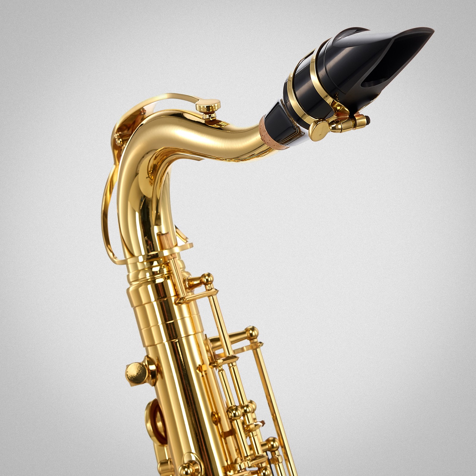 Mundstück des Selmer Axos Tenor Sax