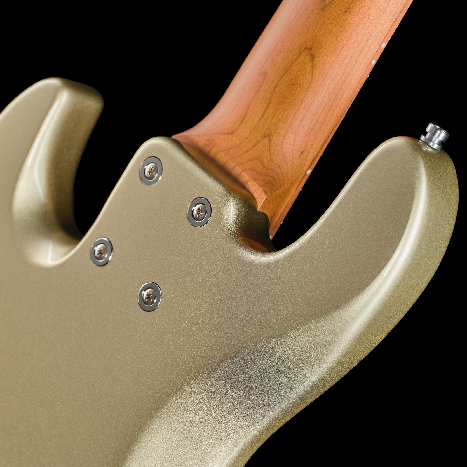 Rückseite des Sadowsky MetroExp21 Vint JJ5 Morado CH