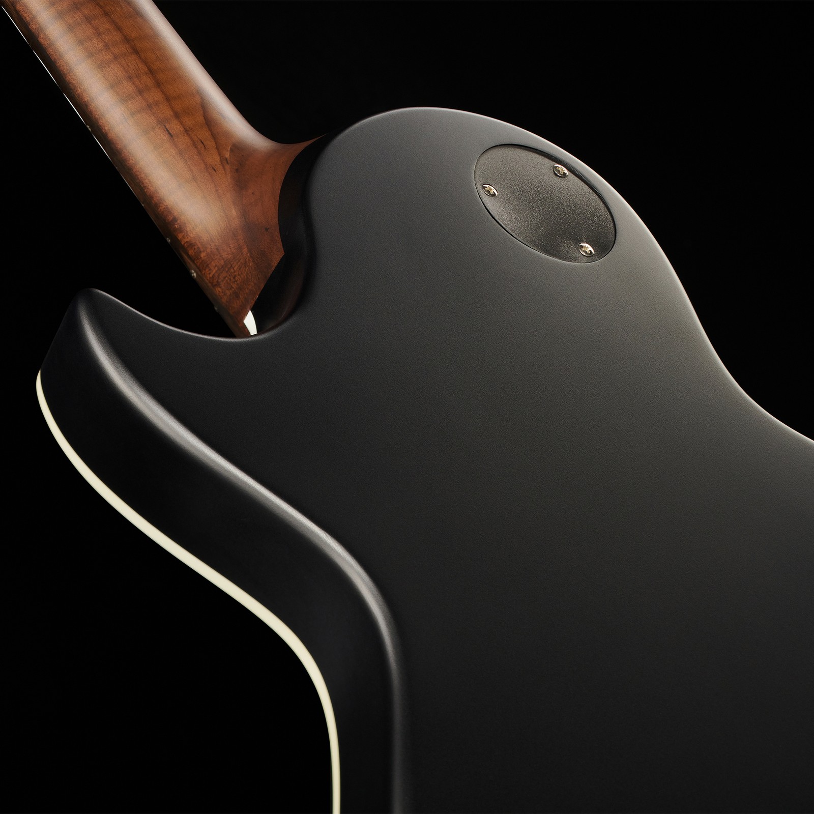 Rückseite der Harley Benton Agufish Standard STD BT BK