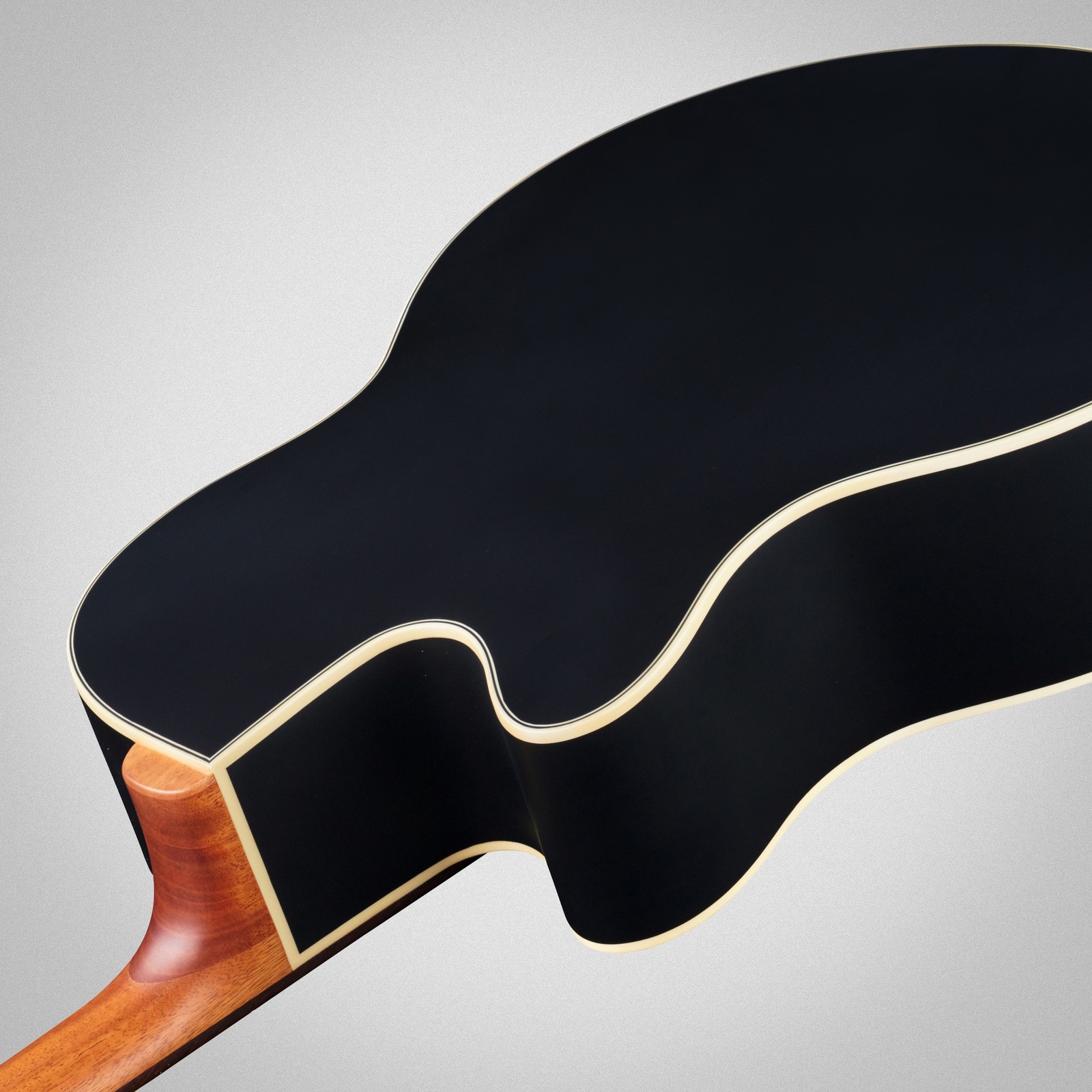 Warwick RB Alien Standard 4 acoustic bass, rear view