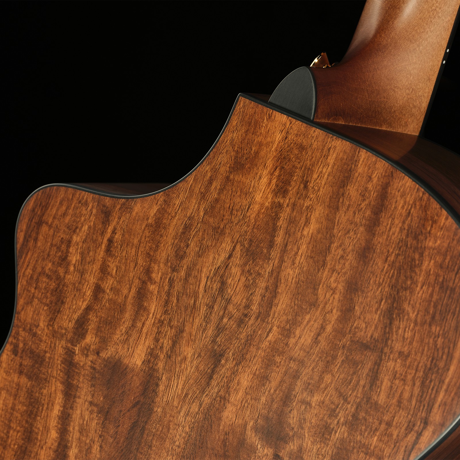 Rückseite der Breedlove Oregon Concert Saddleback CE