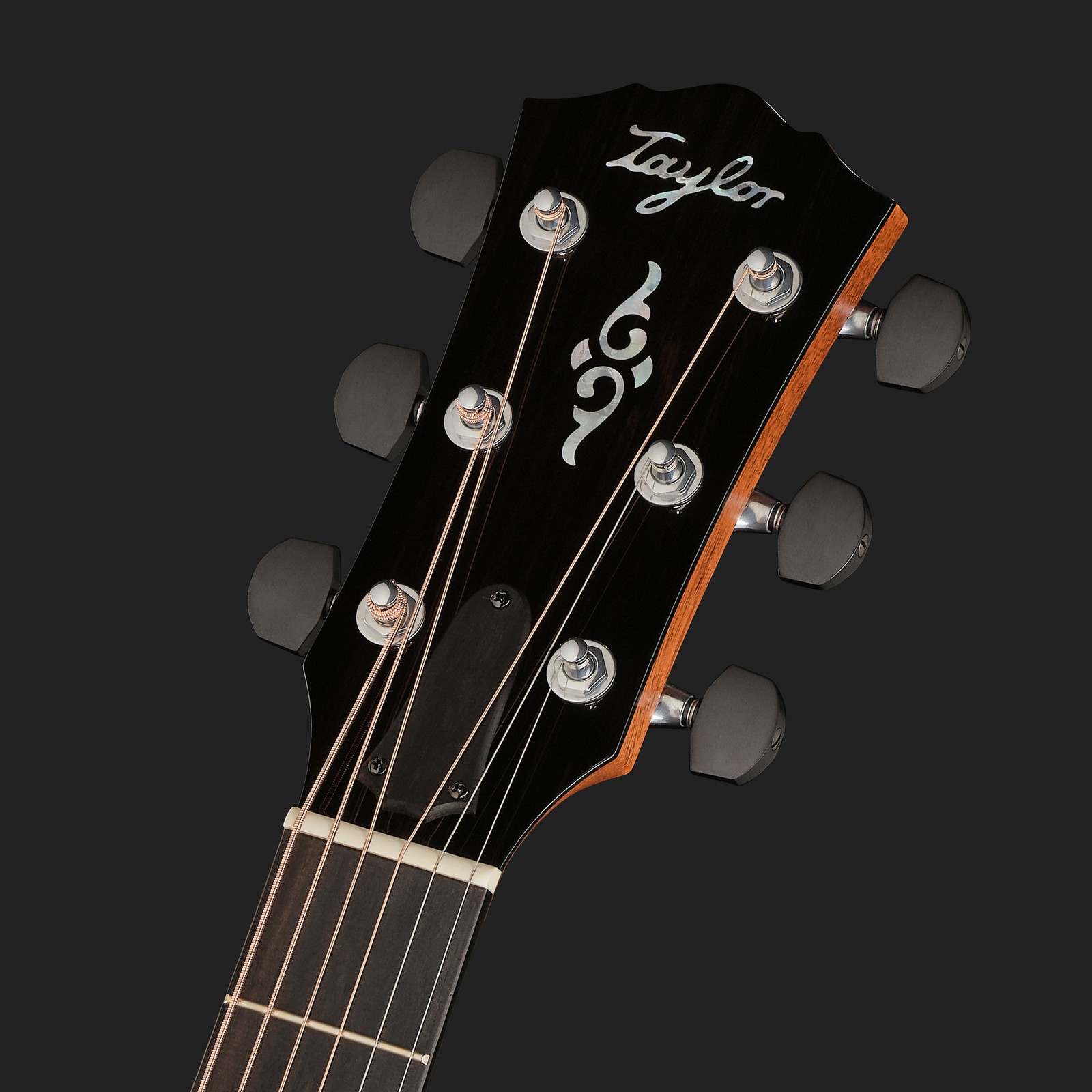 Taylor Gold Label 817e, Kopfplatte