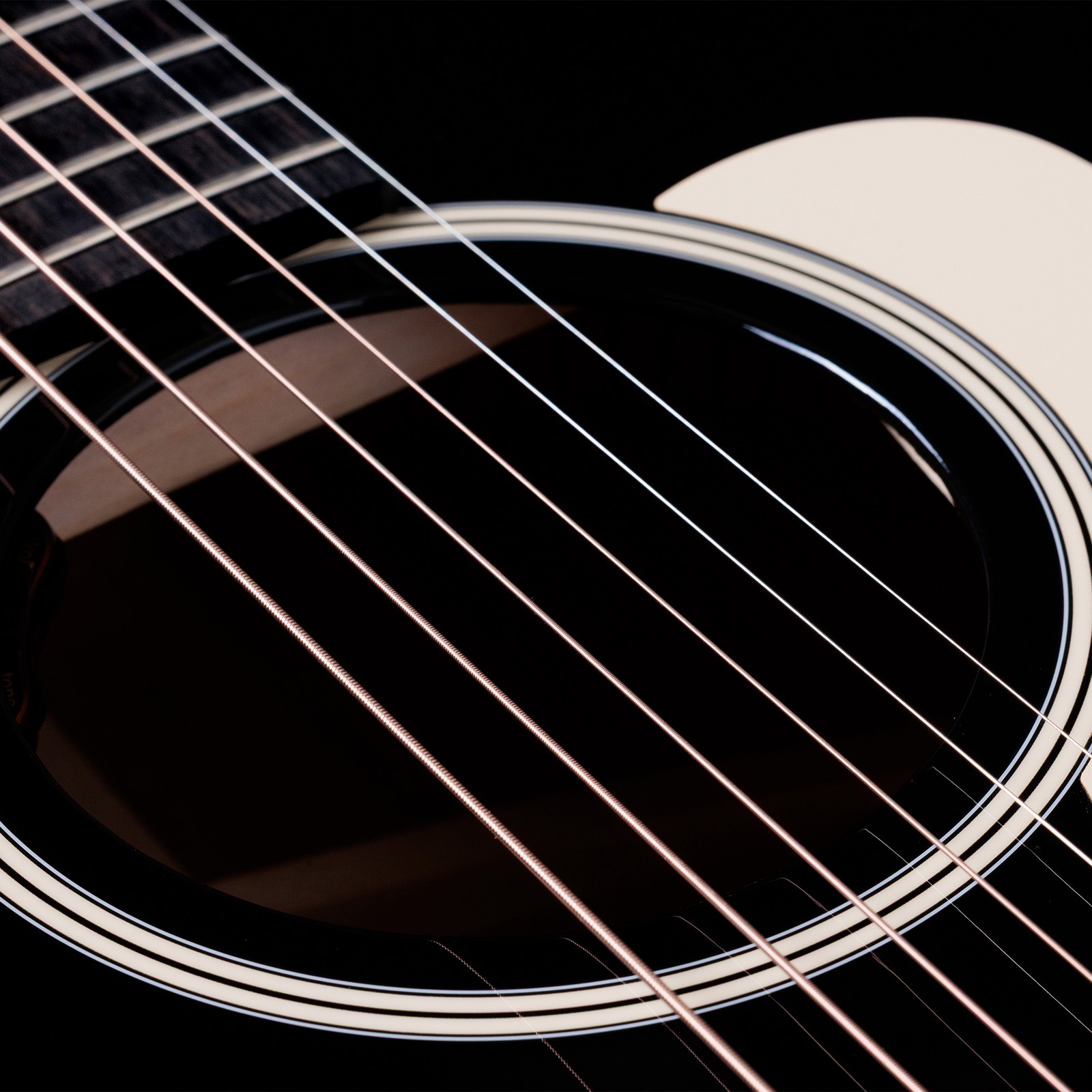 Taylor Gold Label 517e Blacktop, Detail