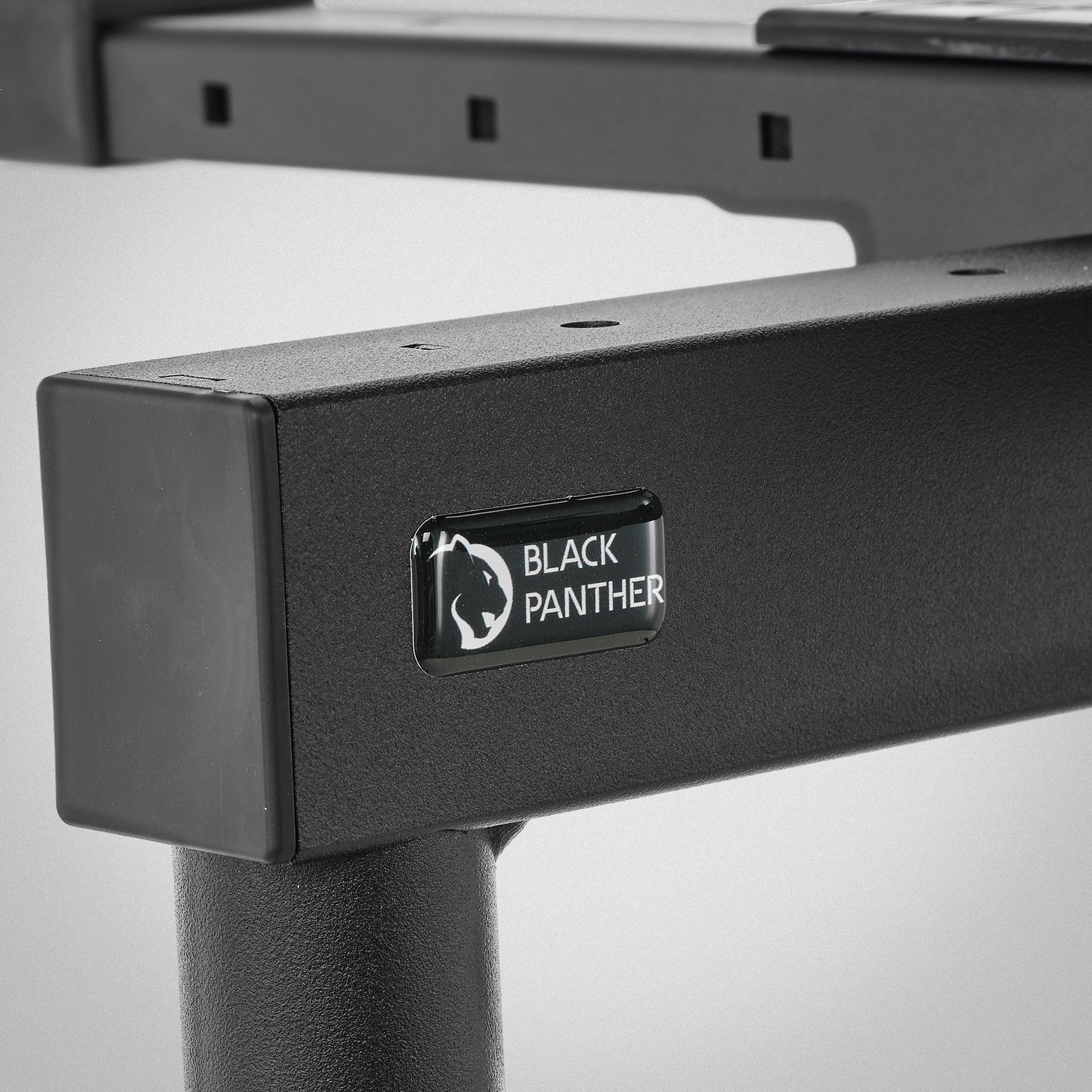 BLACKPANTHERSYSTEM Para Plus, Keyboard- und Studiosystem Logo