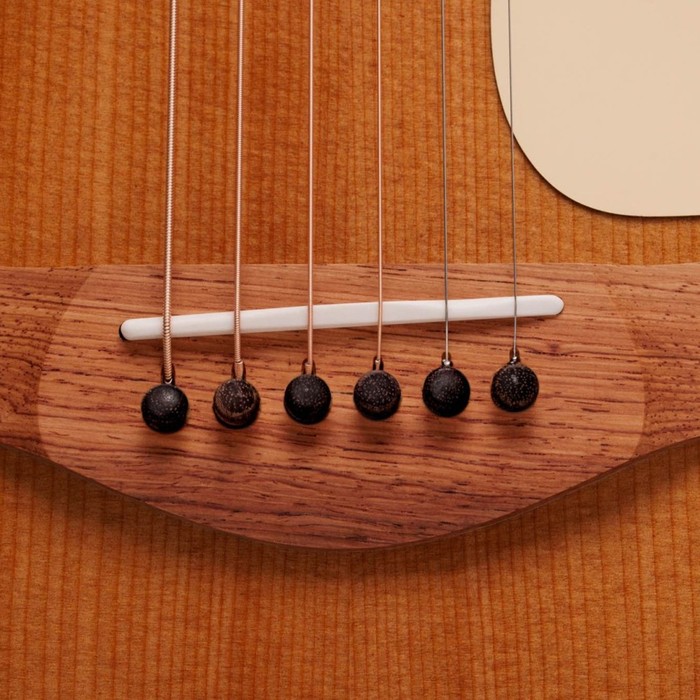 LR Baggs Element VTC 