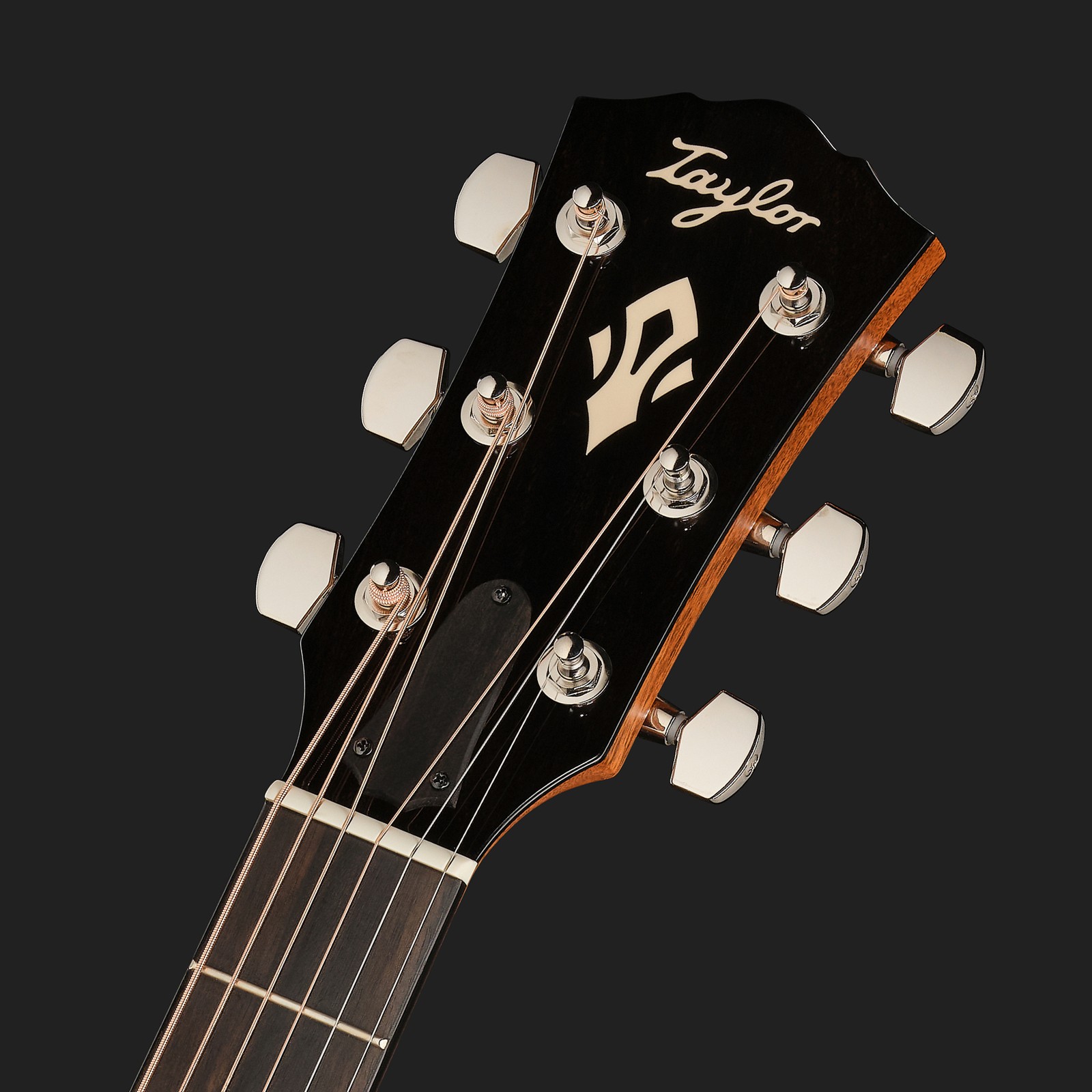 Taylor Gold Label 714e SB FS, Kopfplatte