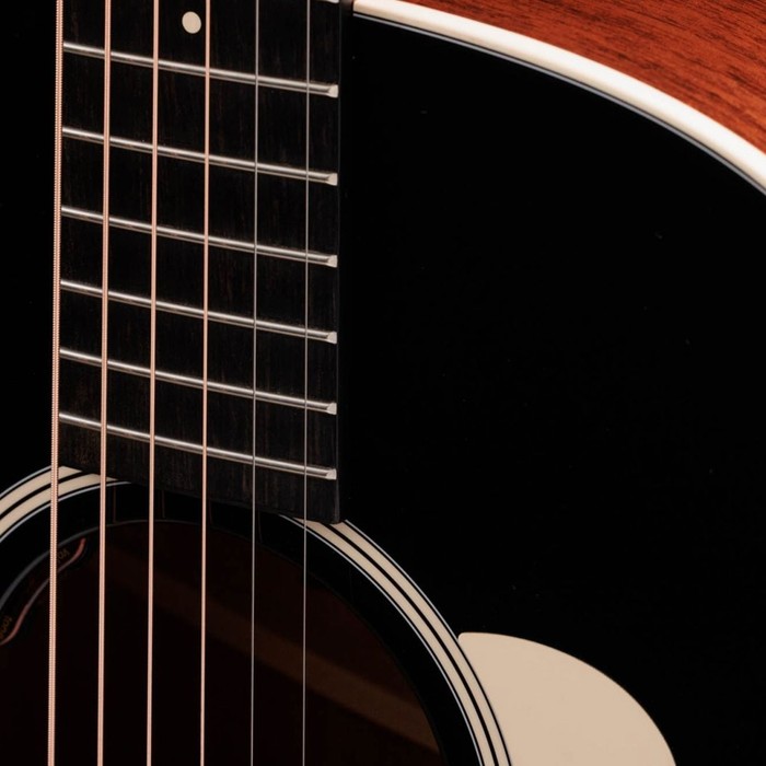 LR Baggs Element VTC 