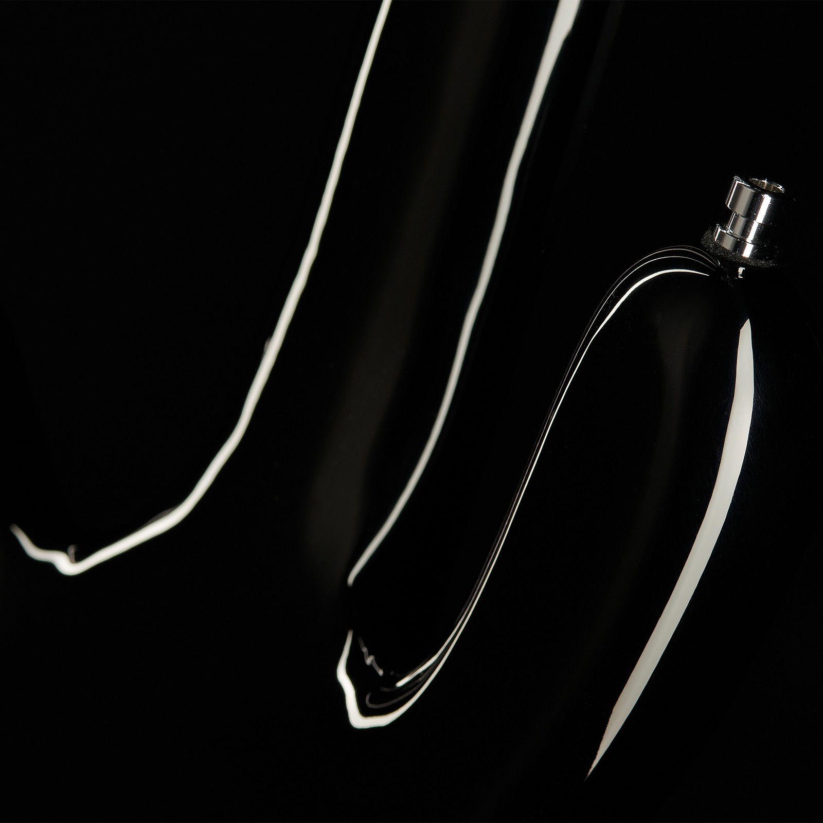 Rückseite des Warwick RB Streamer NT I 5 FL BLK