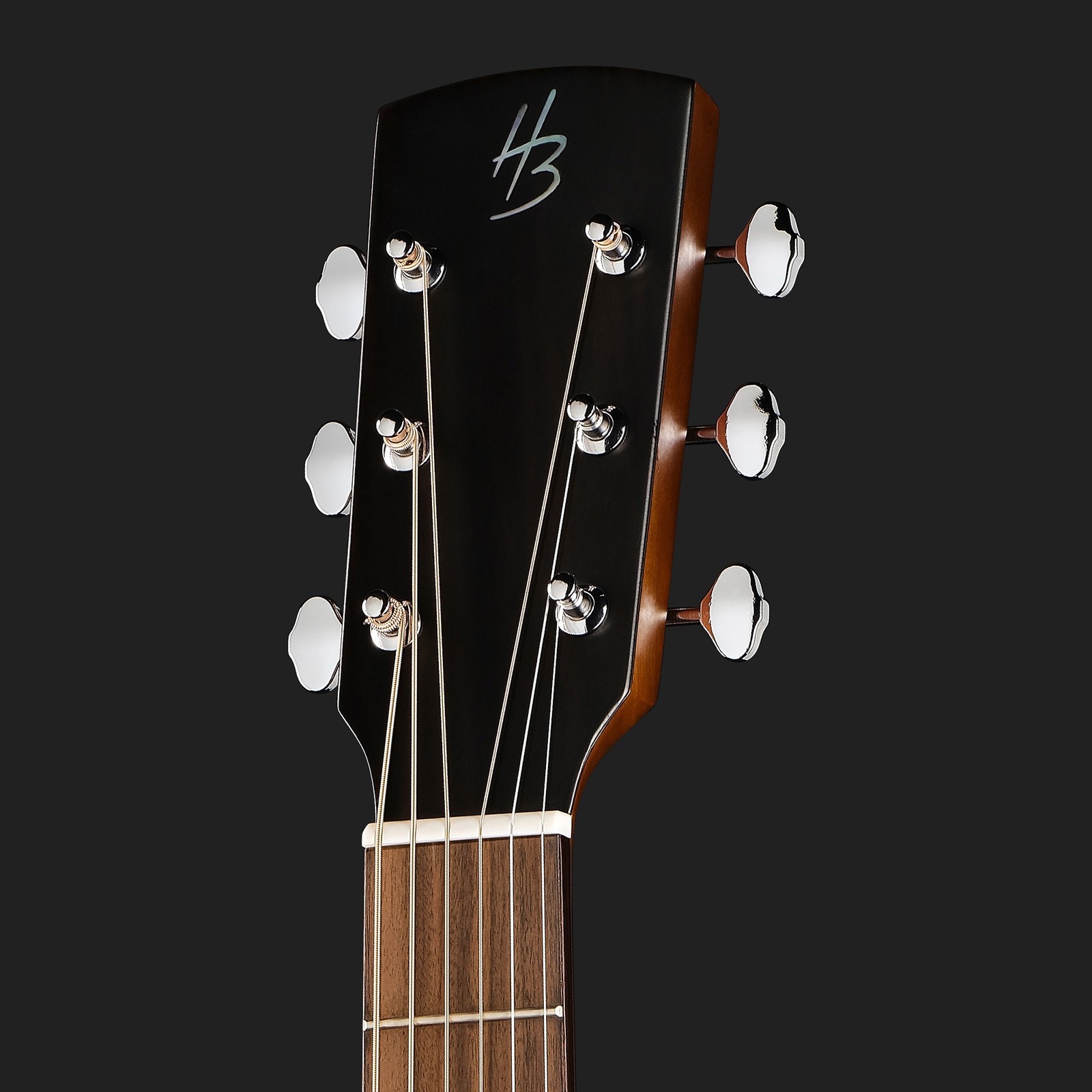 Kopfplatte der Harley Benton CLD-65AE NT