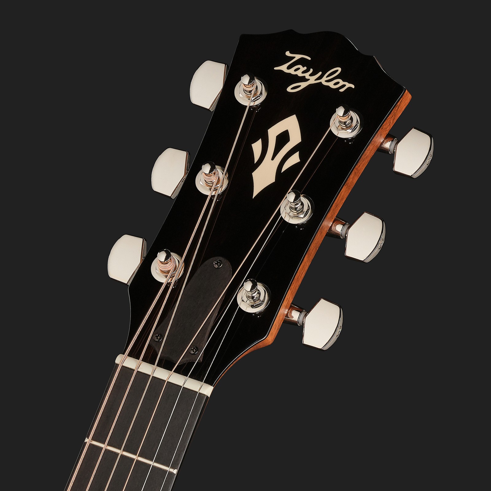 Taylor Gold Label 514e SB FS, Kopfplatte