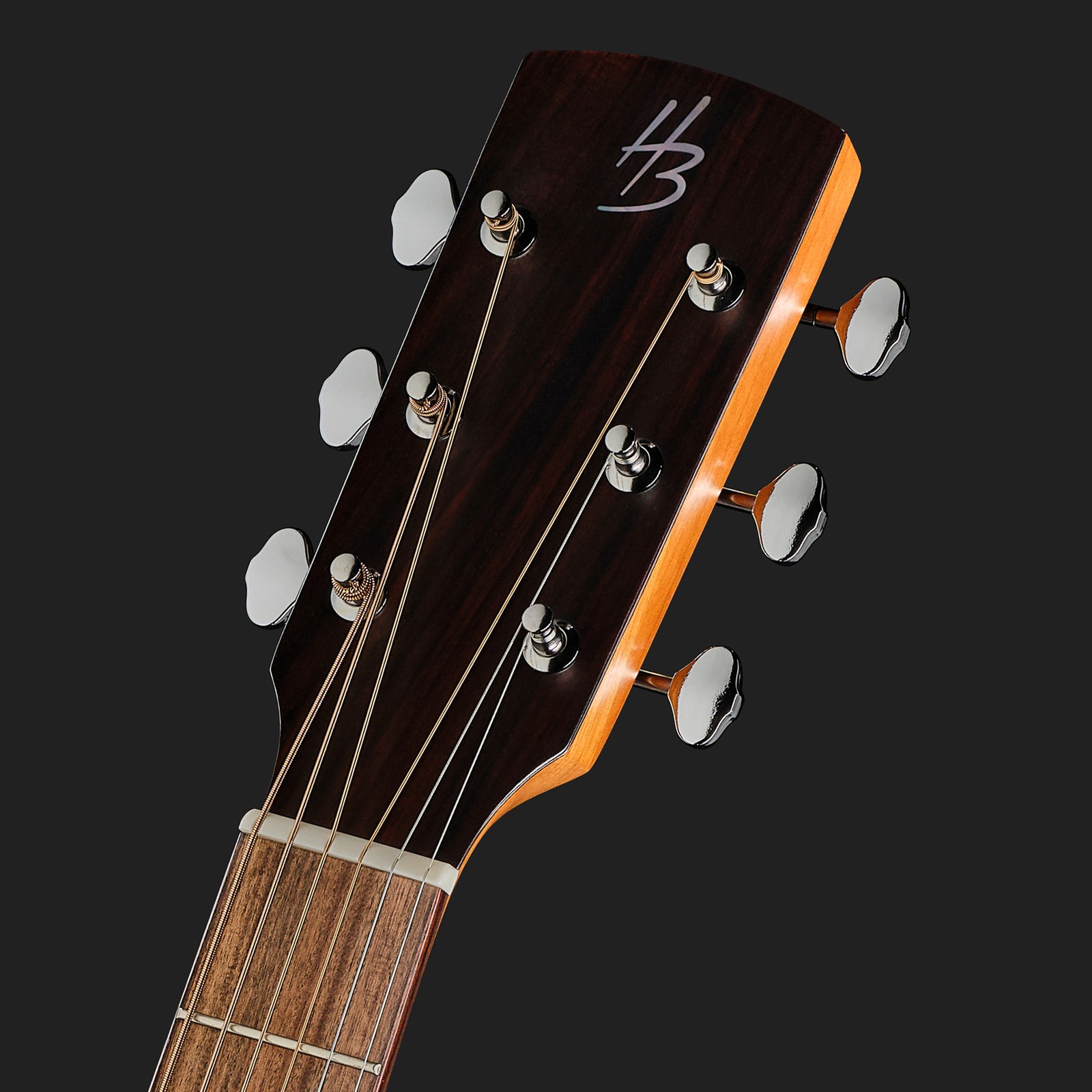 Kopfplatte der Harley Benton CLD-65ME NT