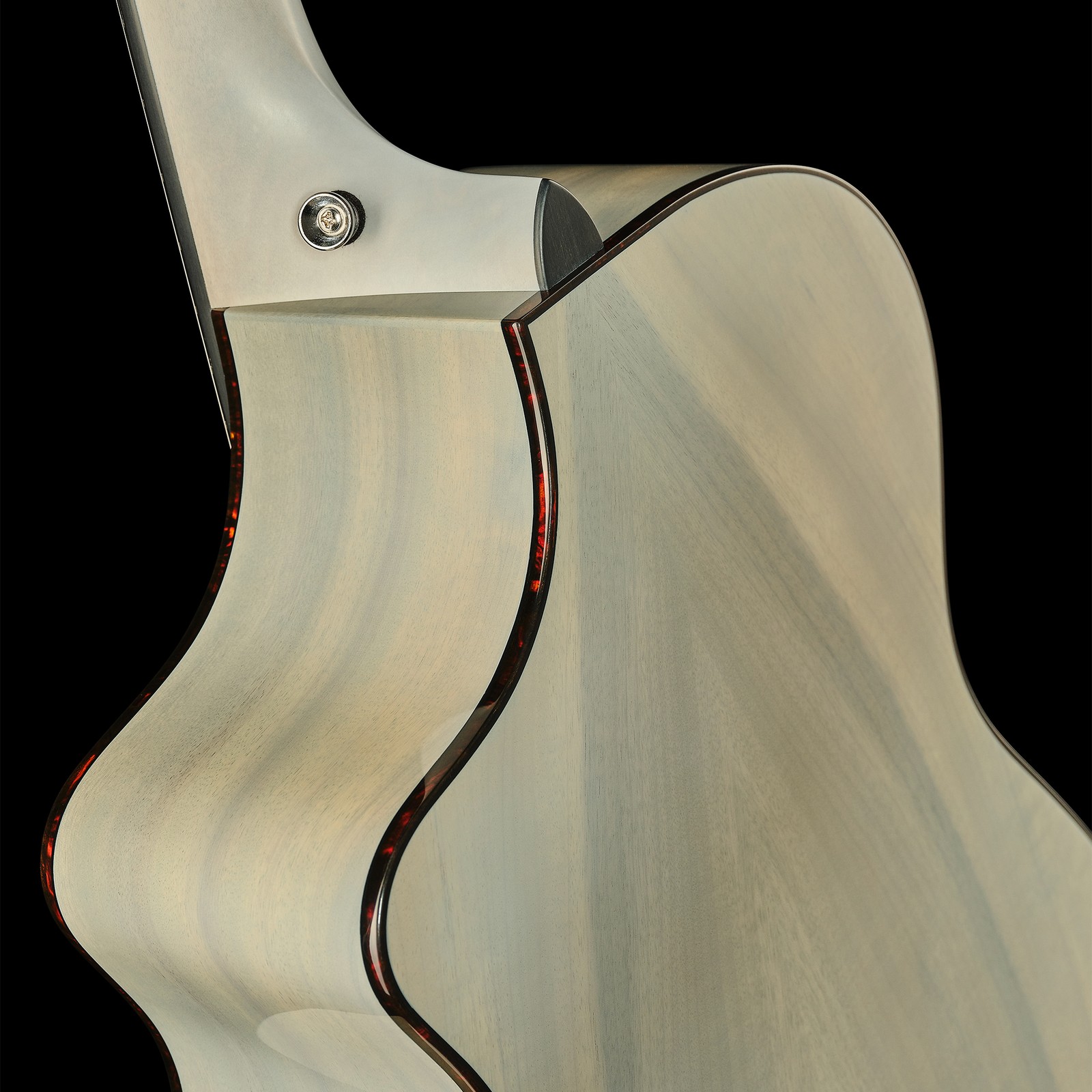 Rückseite der Breedlove Oregon Concert Perma CE Ltd