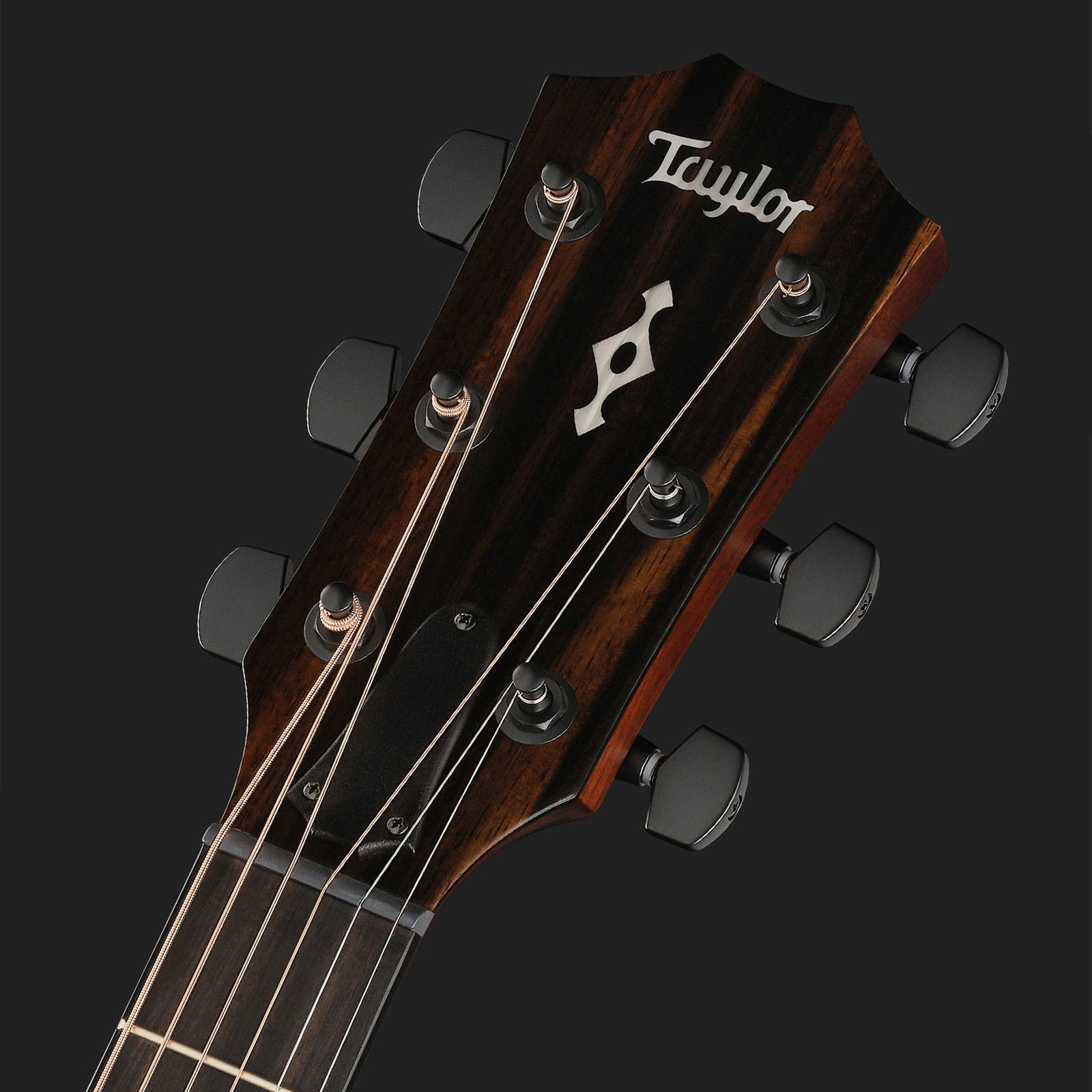 Kopfplatte der Taylor 324ce Next Generation