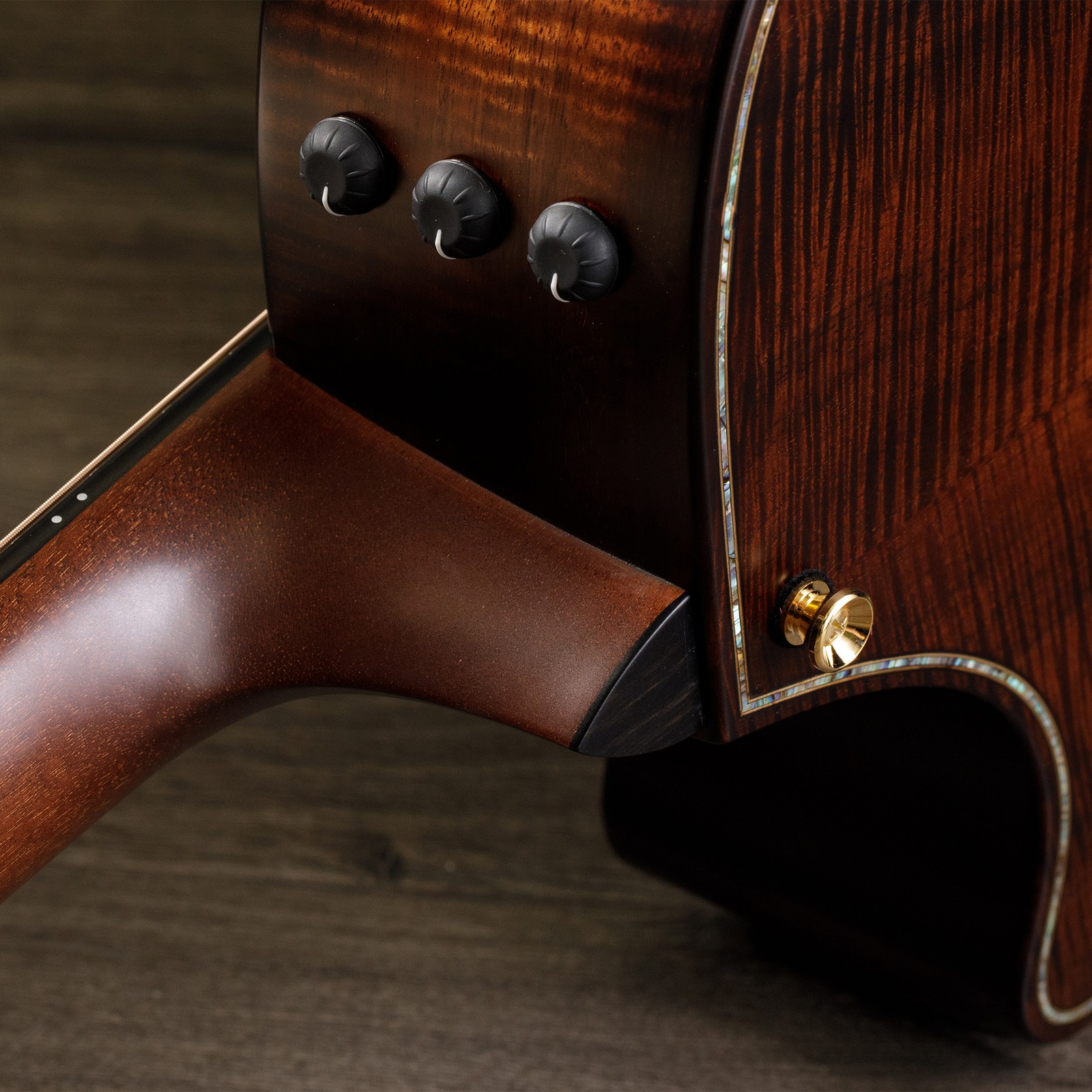 Rückseite der Taylor K24ce V-Class Builders Edition