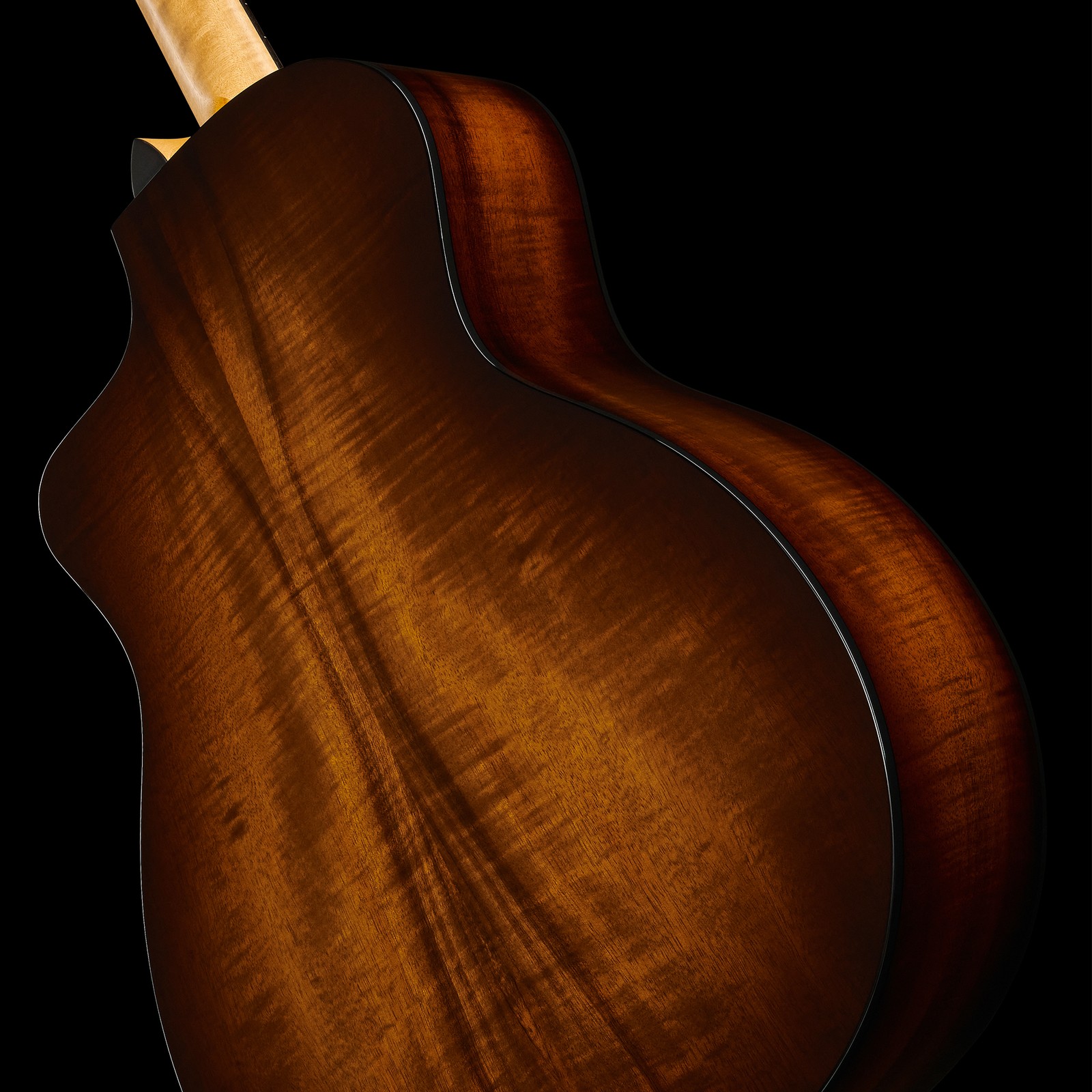 Rückseite der Taylor 264ce-K DLX