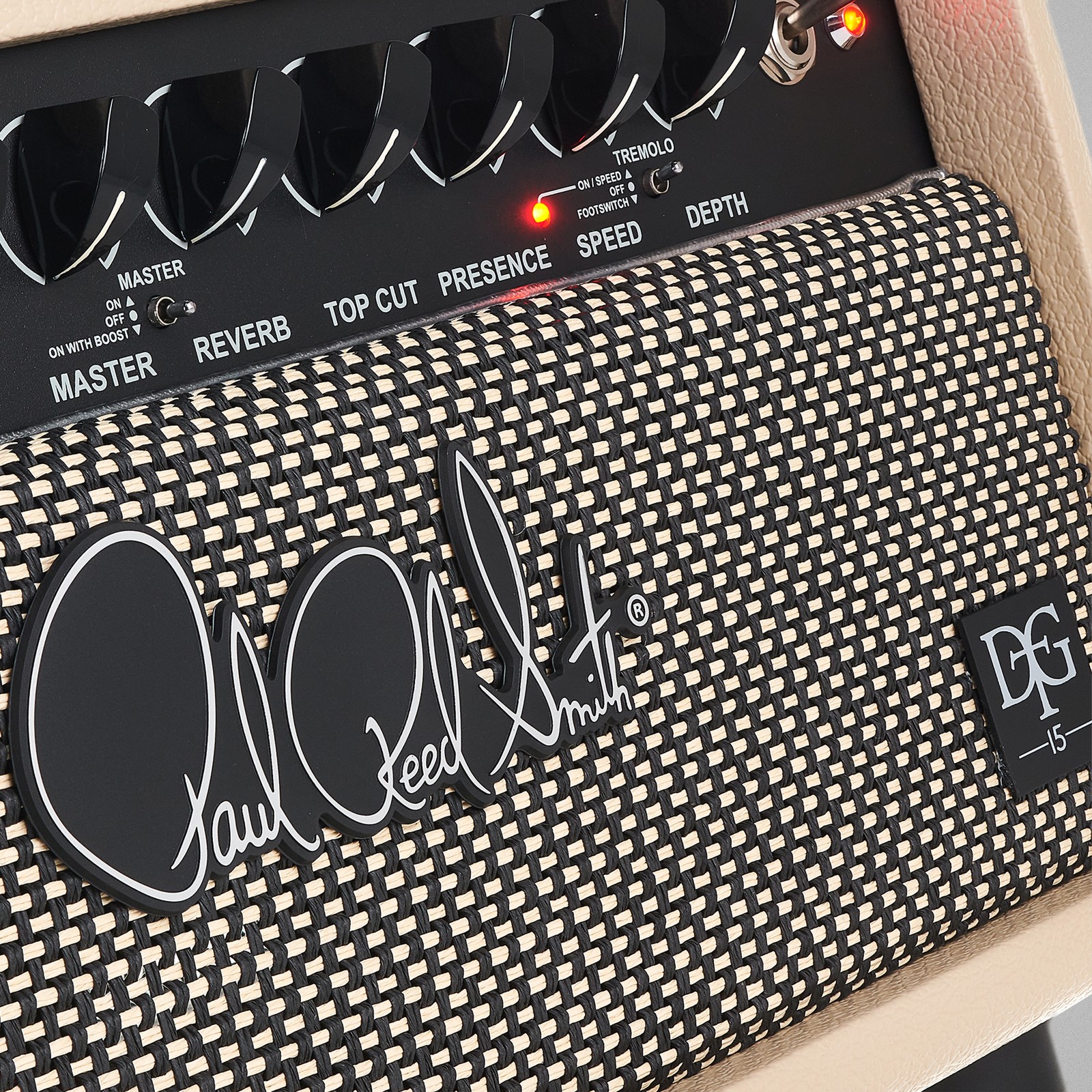 Logo auf dem PRS DGT 15 Head