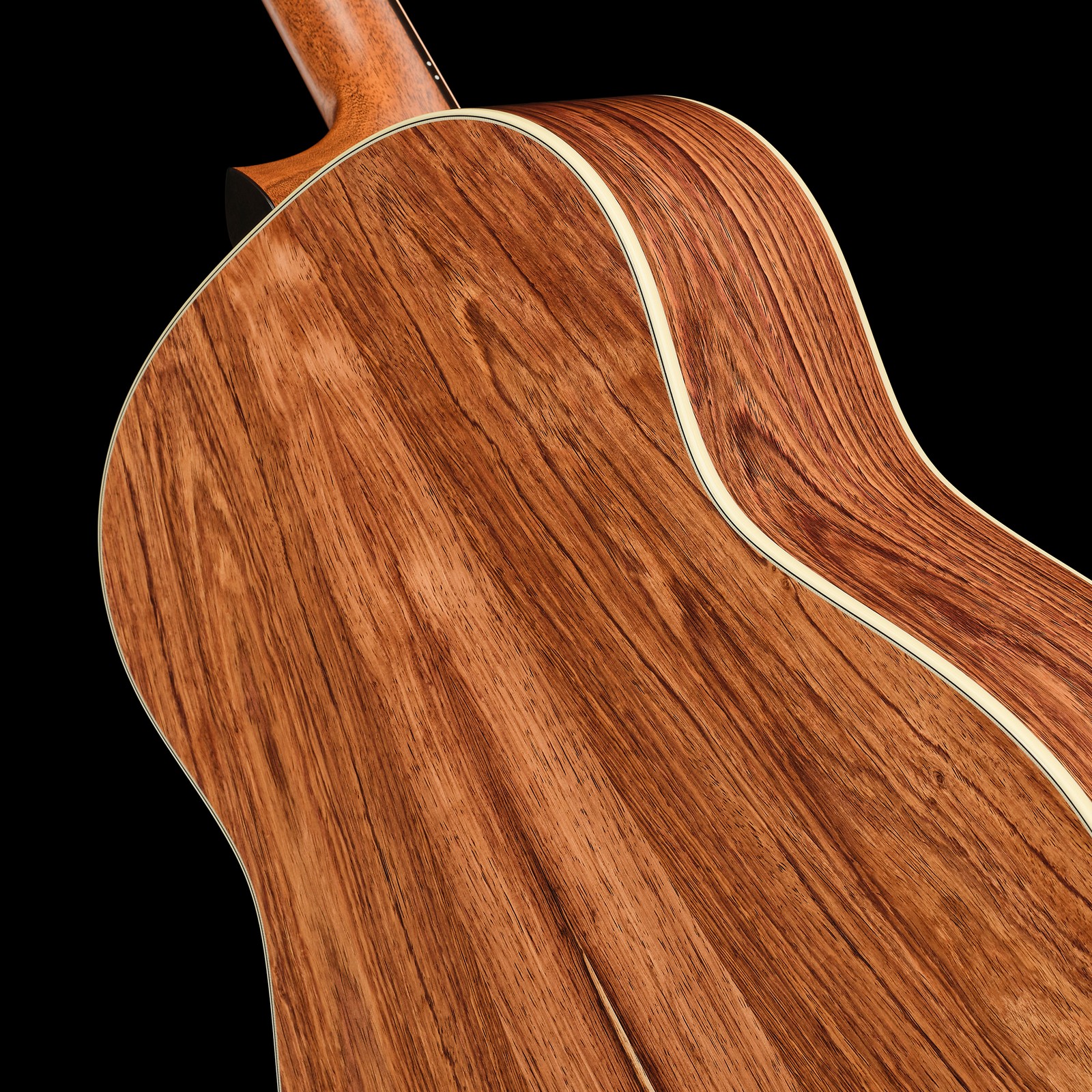 Taylor Gold Label 817e, Rückseite