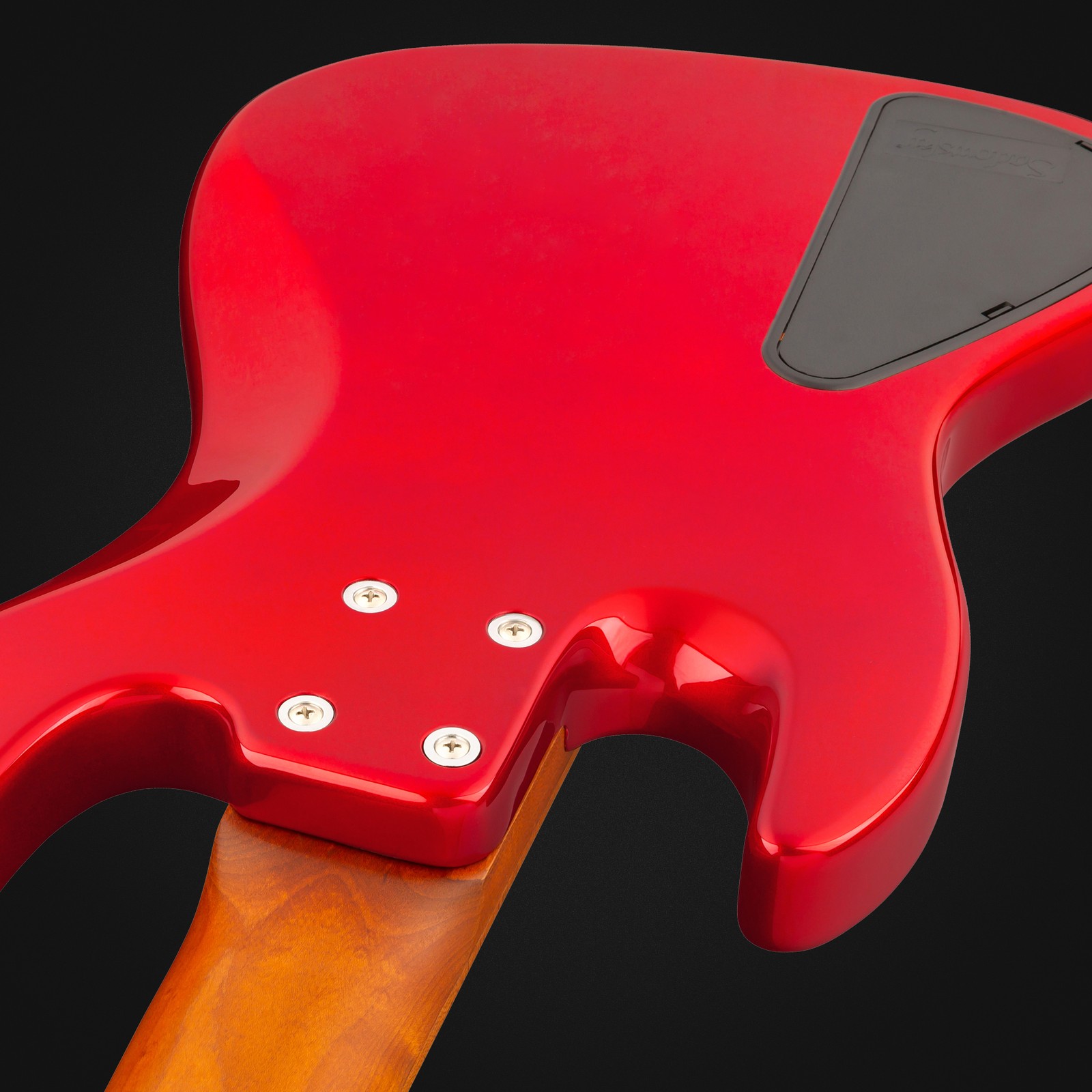 Sadowsky MetroExp 21 Hyb PJ 5 RM CAR, five-string bass, rear view