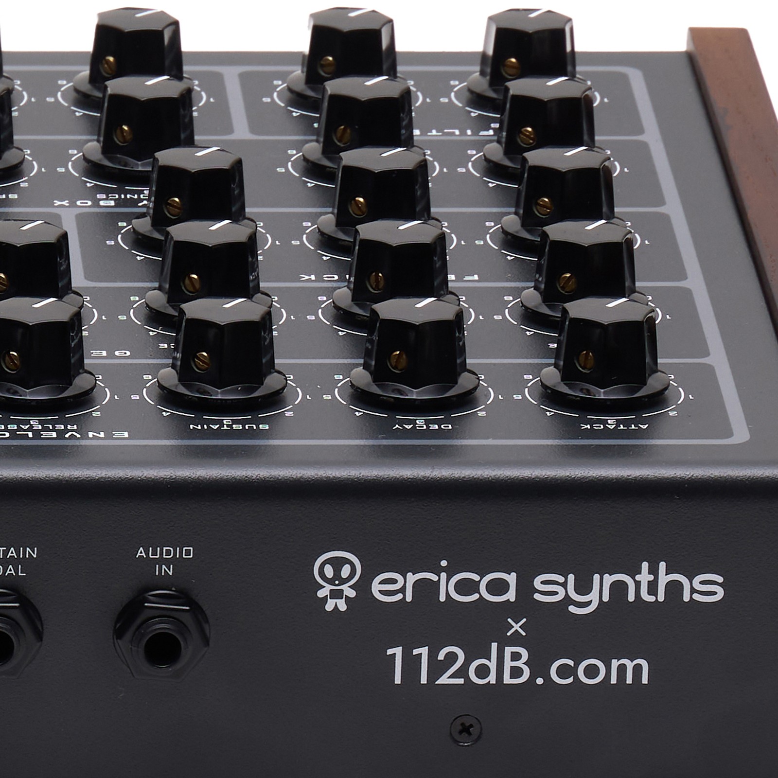 Logo auf Erica Synths Steampipe