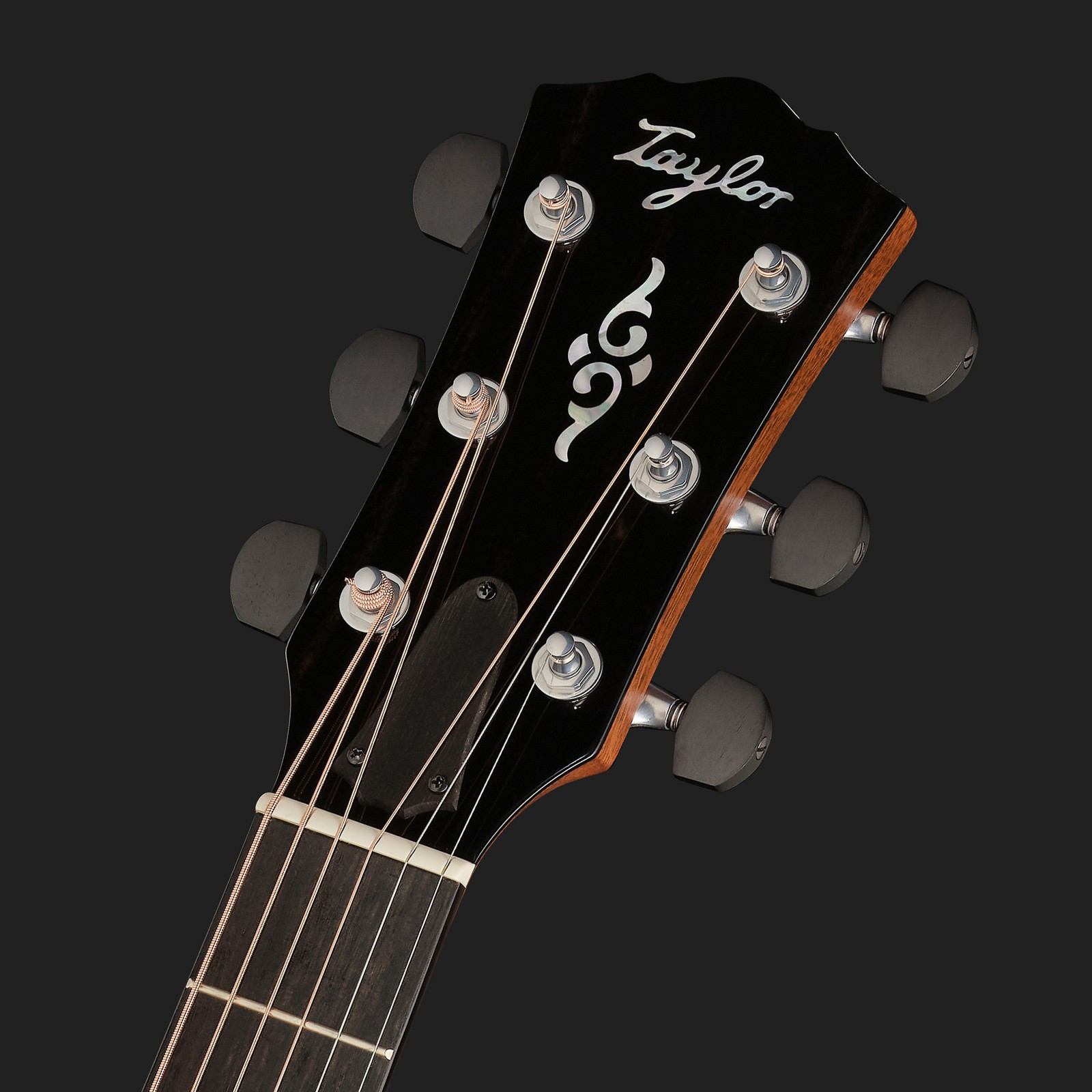 Taylor Gold Label 817e Sunburst, Kopfplatte