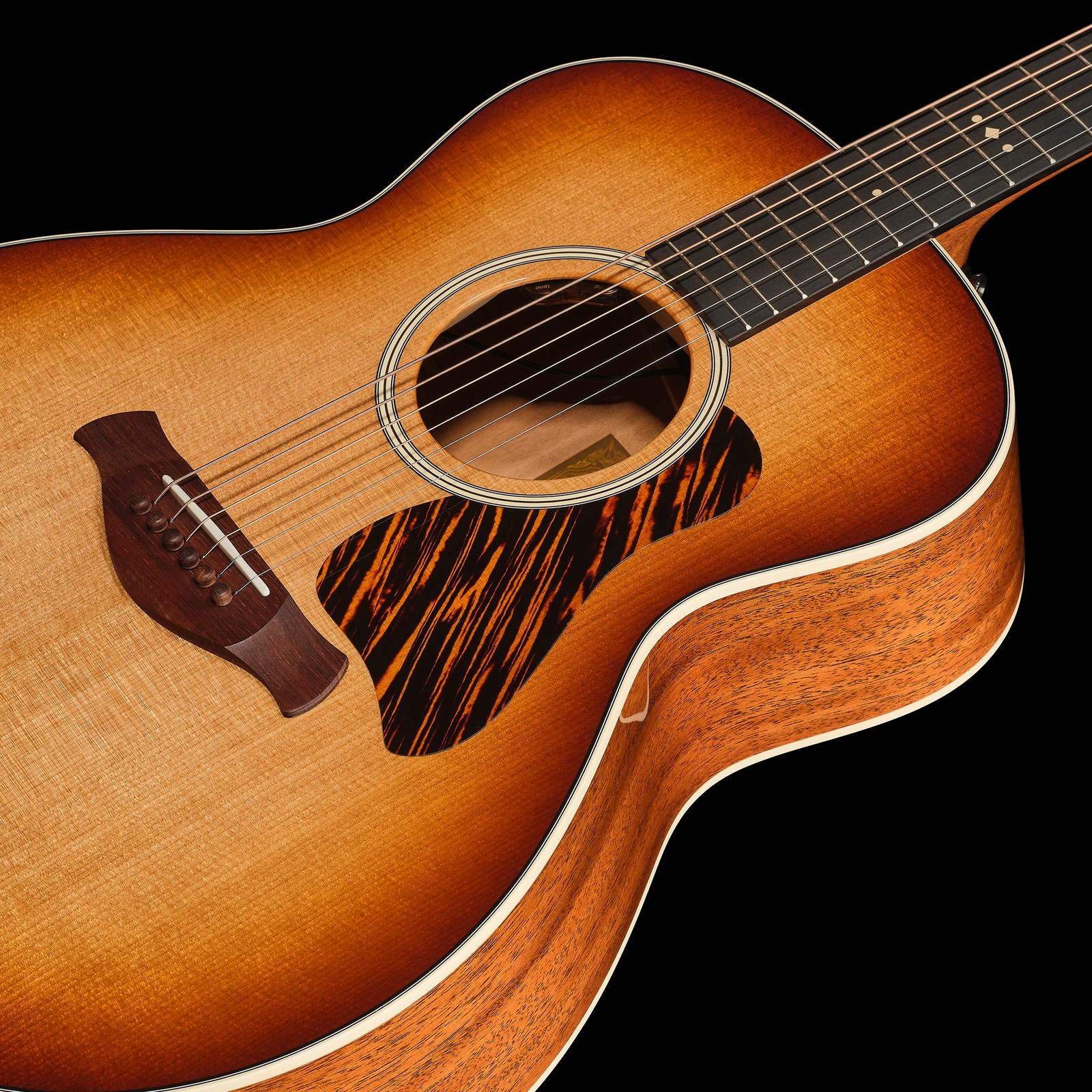 Taylor Gold Label 514e SB FS, Decke