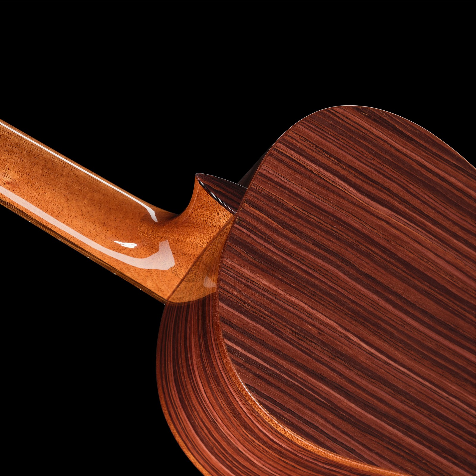 Rückseite der Manuel Rodriguez 60-S Spruce