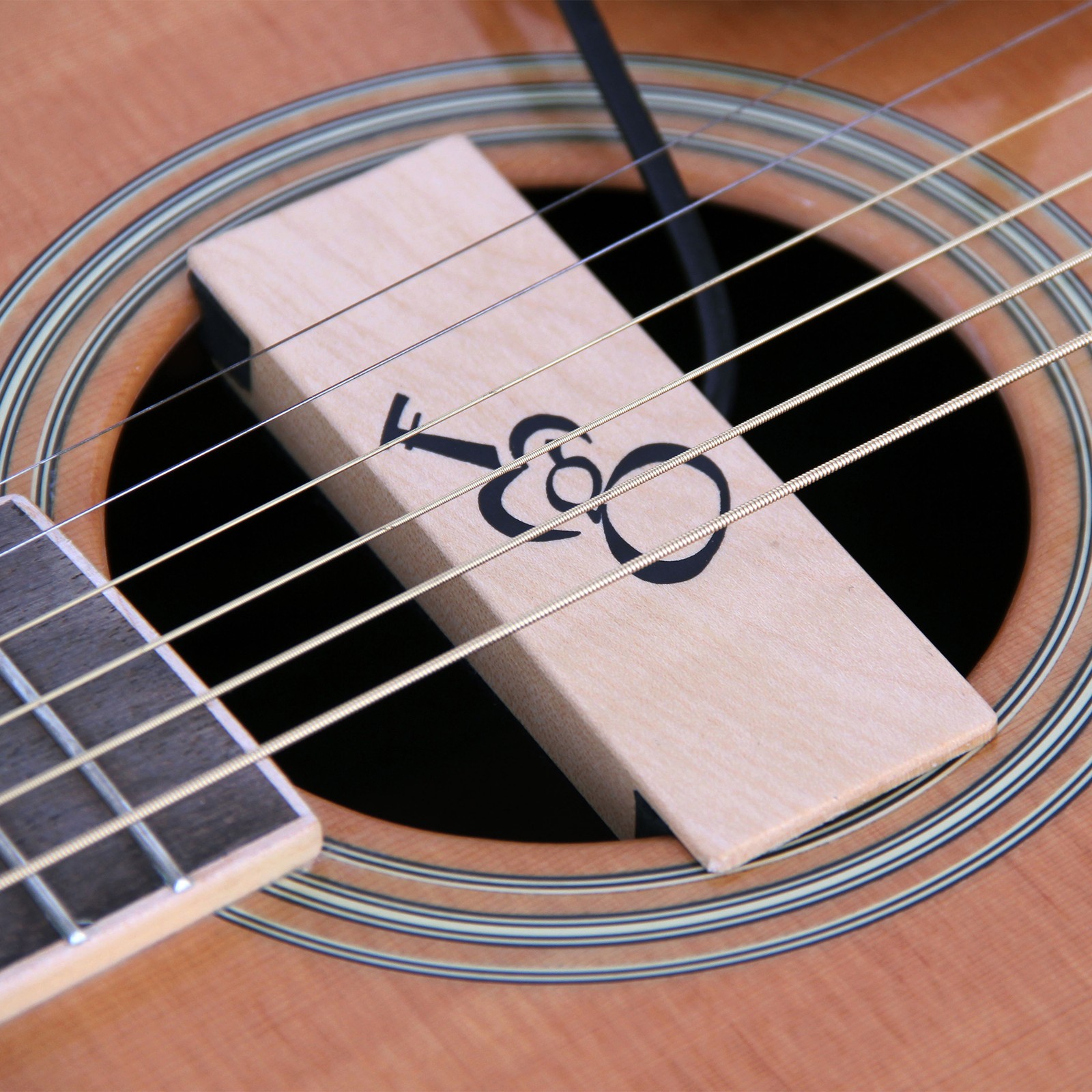 Harley Benton TrueTone SH-20, Anwendungsbeispiel