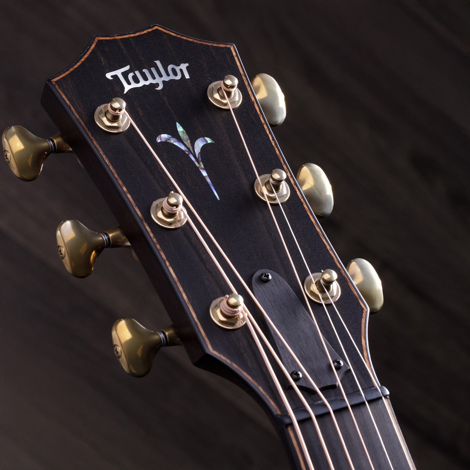 Kopfplatte der Taylor K24ce V-Class Builders Edition