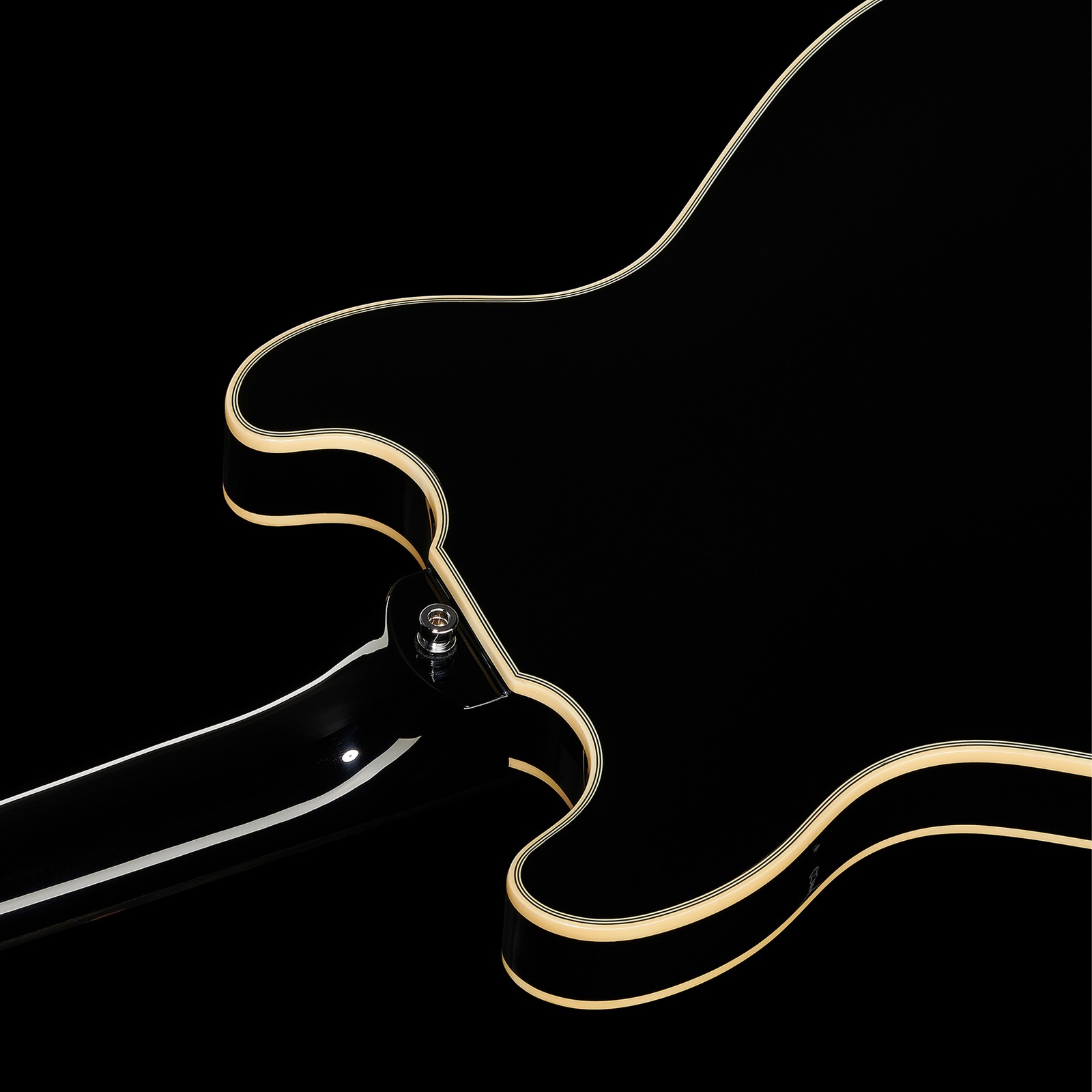 Warwick RB Star Bass 4 FL BK, semihollow fretless bass, rear view