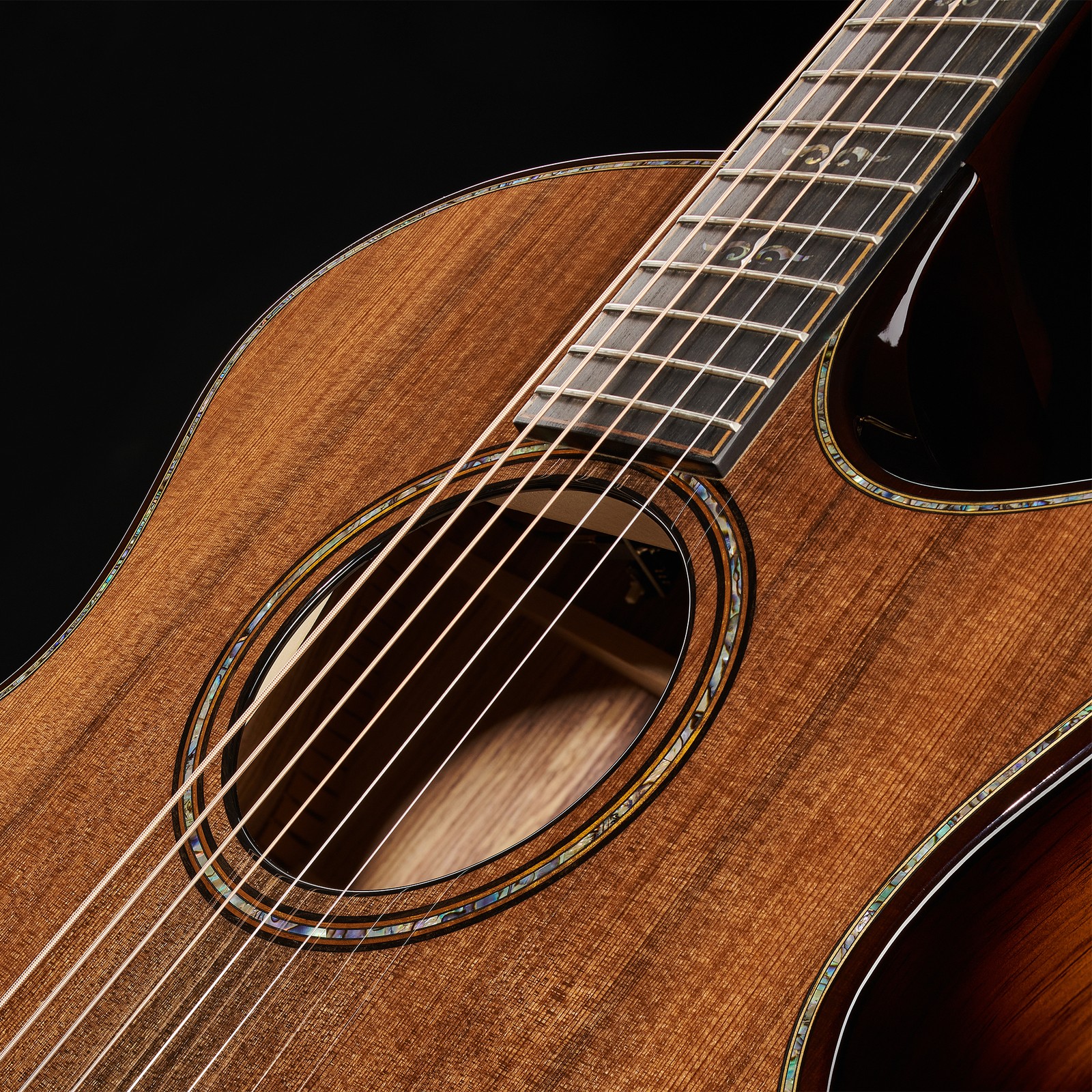 Korpus der Taylor Builder's Edition 914ce