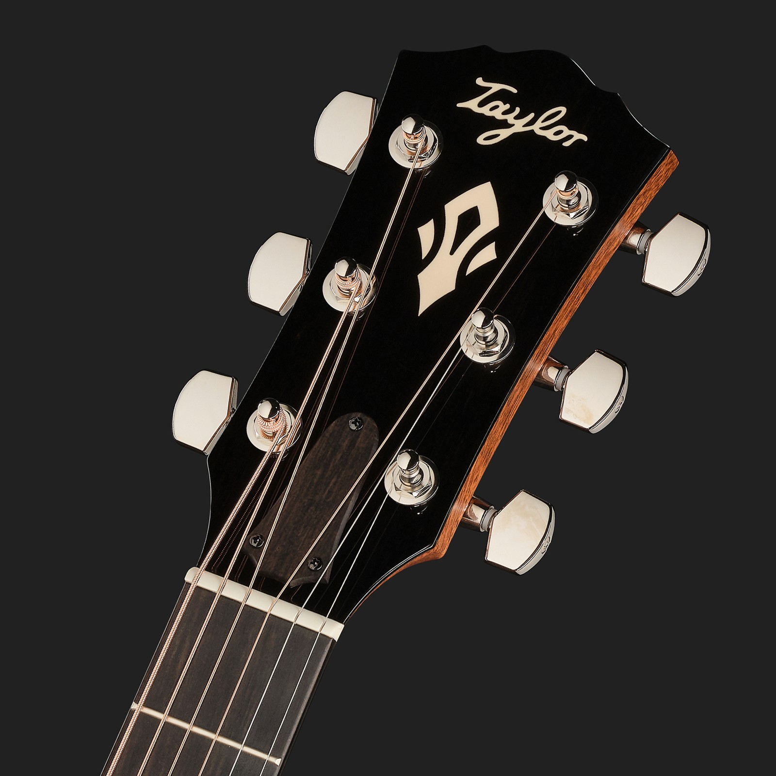 Taylor Gold Label 714e SB Cream, Kopfplatte