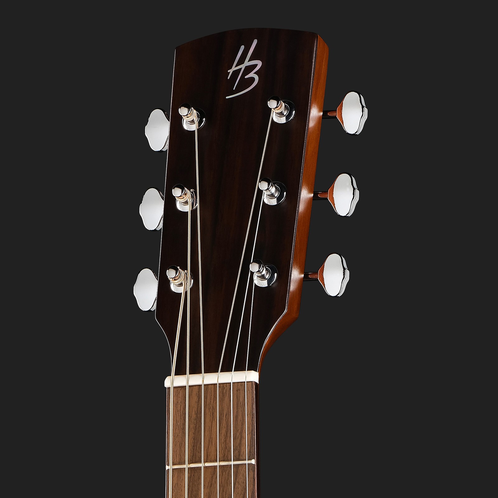 Kopfplatte der Harley Benton CLO-65AE NT