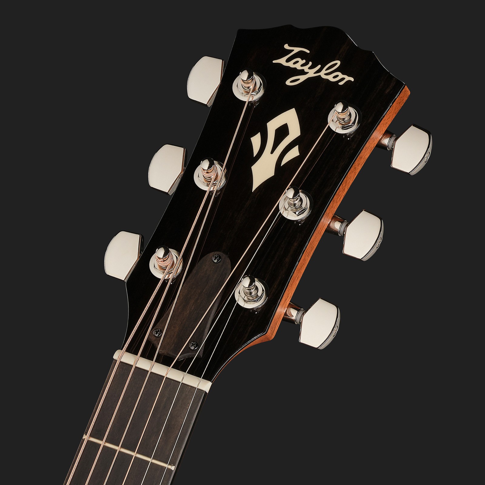 Taylor Gold Label 714e, Kopfplatte