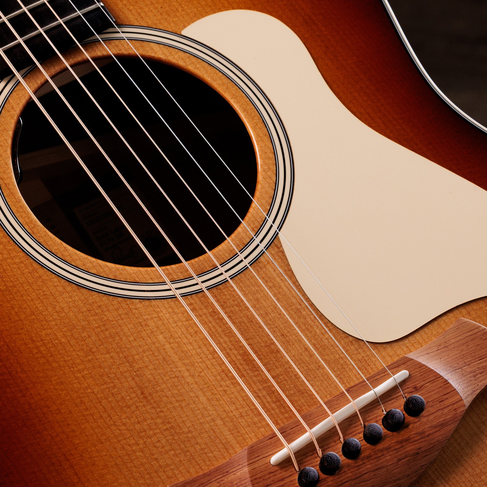 Taylor Gold Label 517e SB Cream, Detail