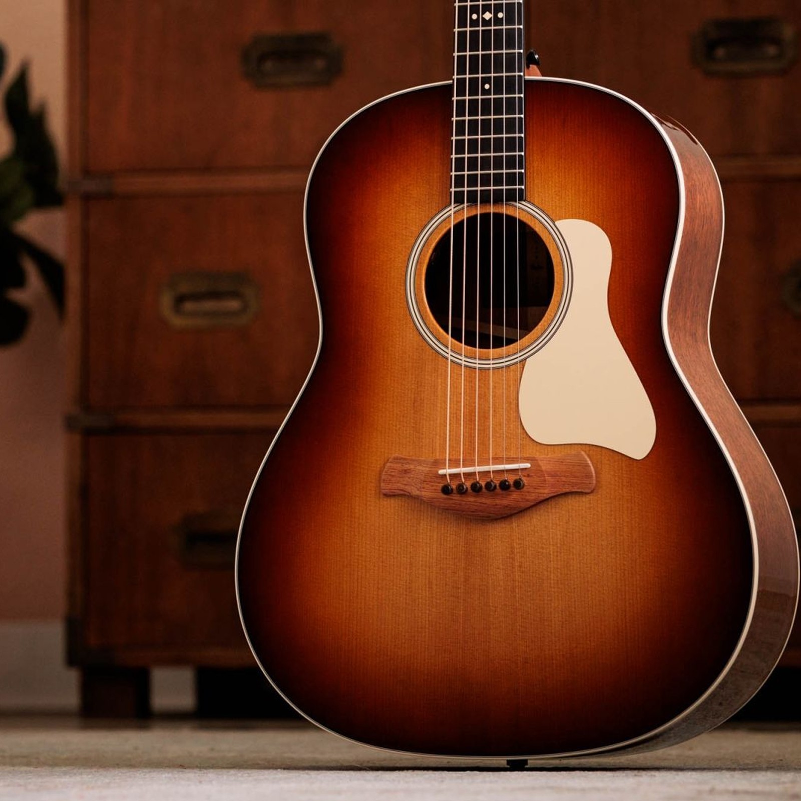 Taylor Gold Label 517e SB Cream