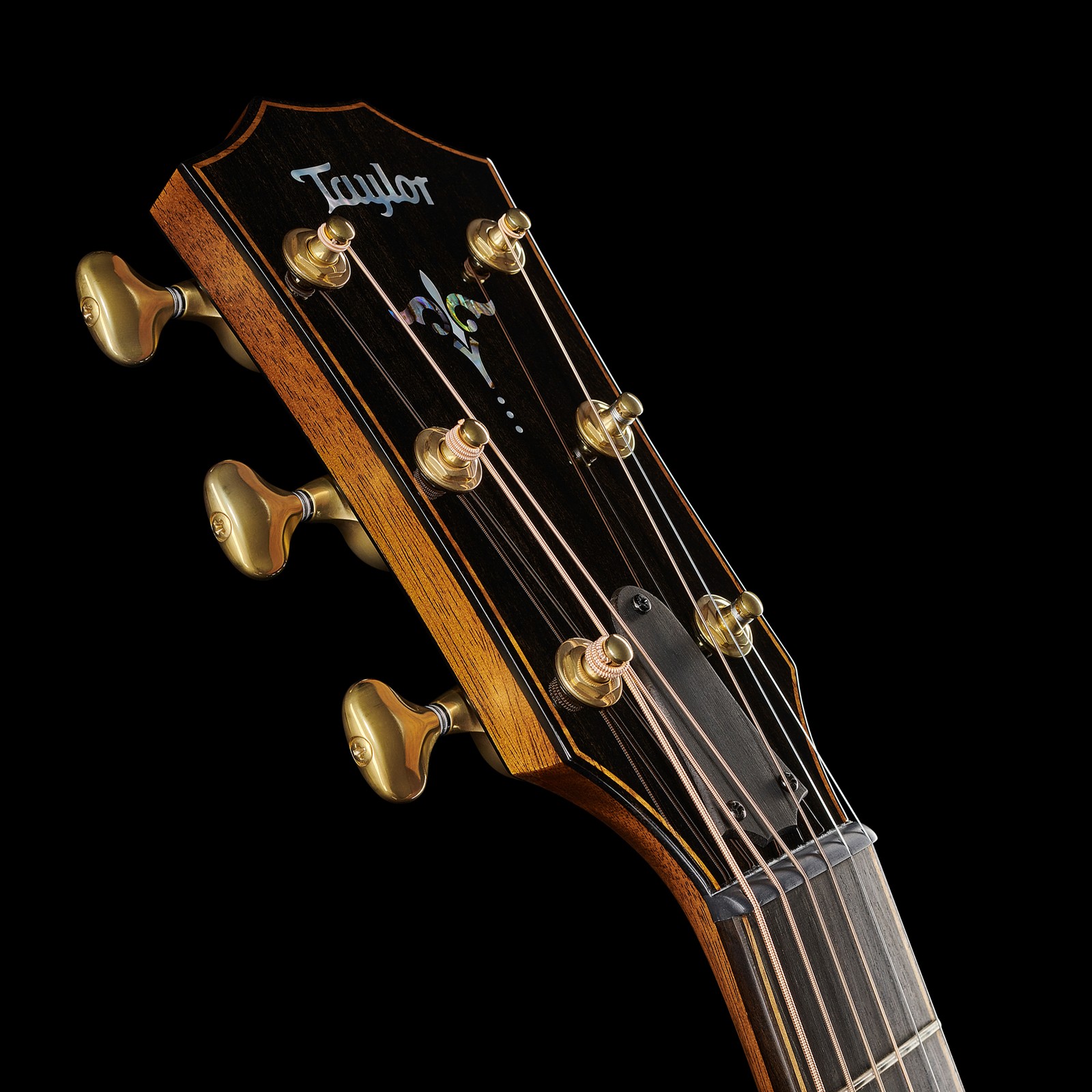 Kopfplatte der Taylor Builder's Edition 914ce