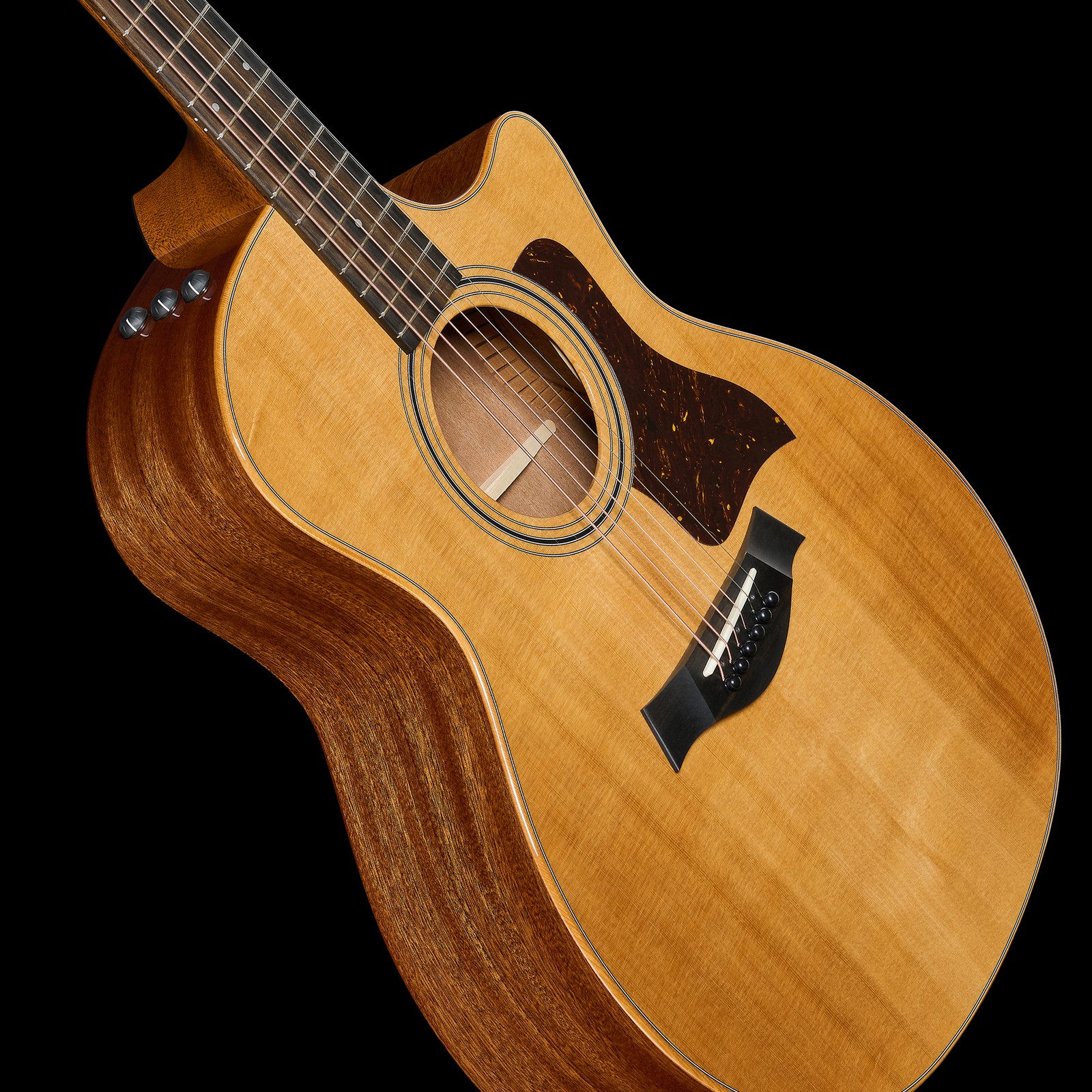 Decke der Taylor 314ce Studio Natural