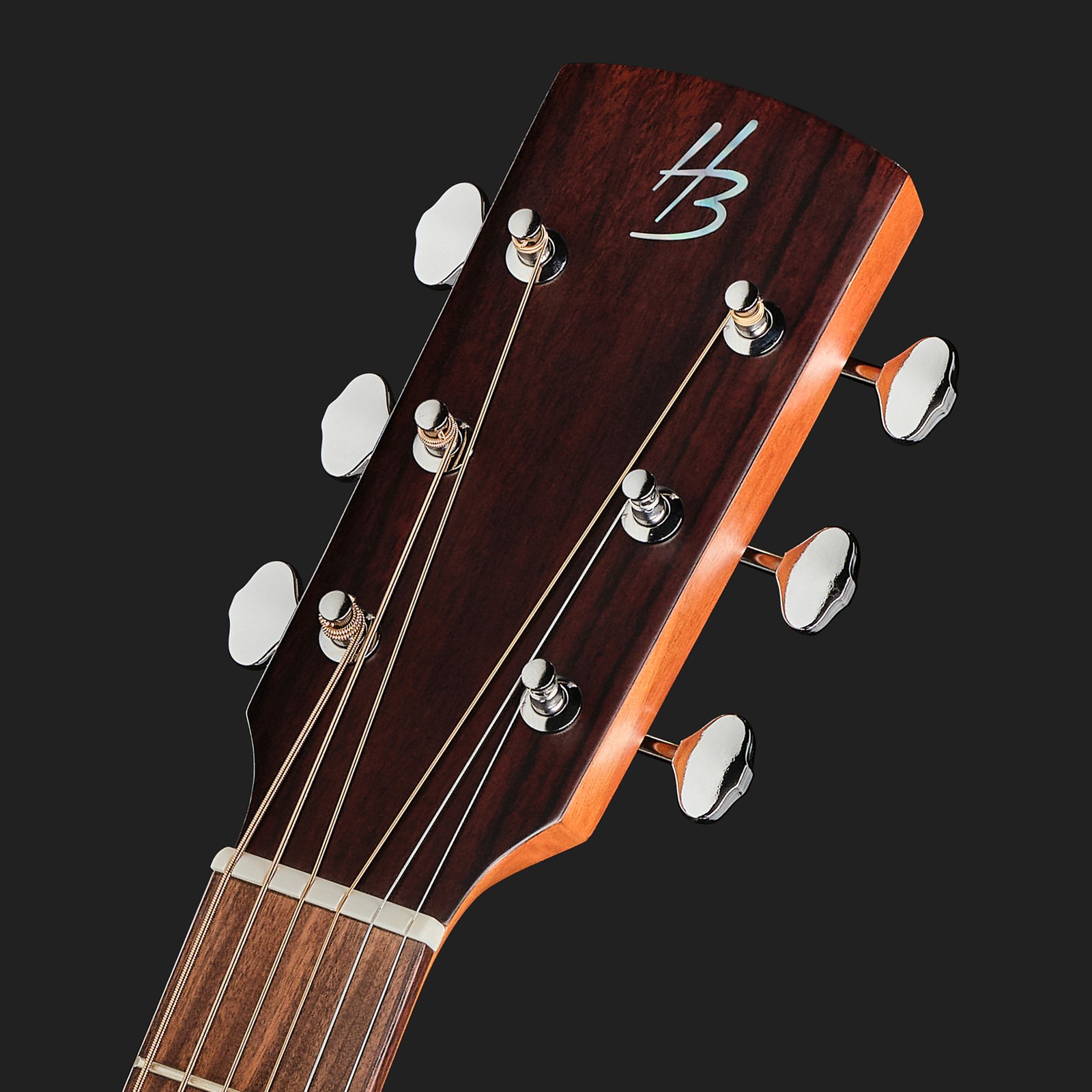 Kopfplatte der Harley Benton CLD-65SE NT