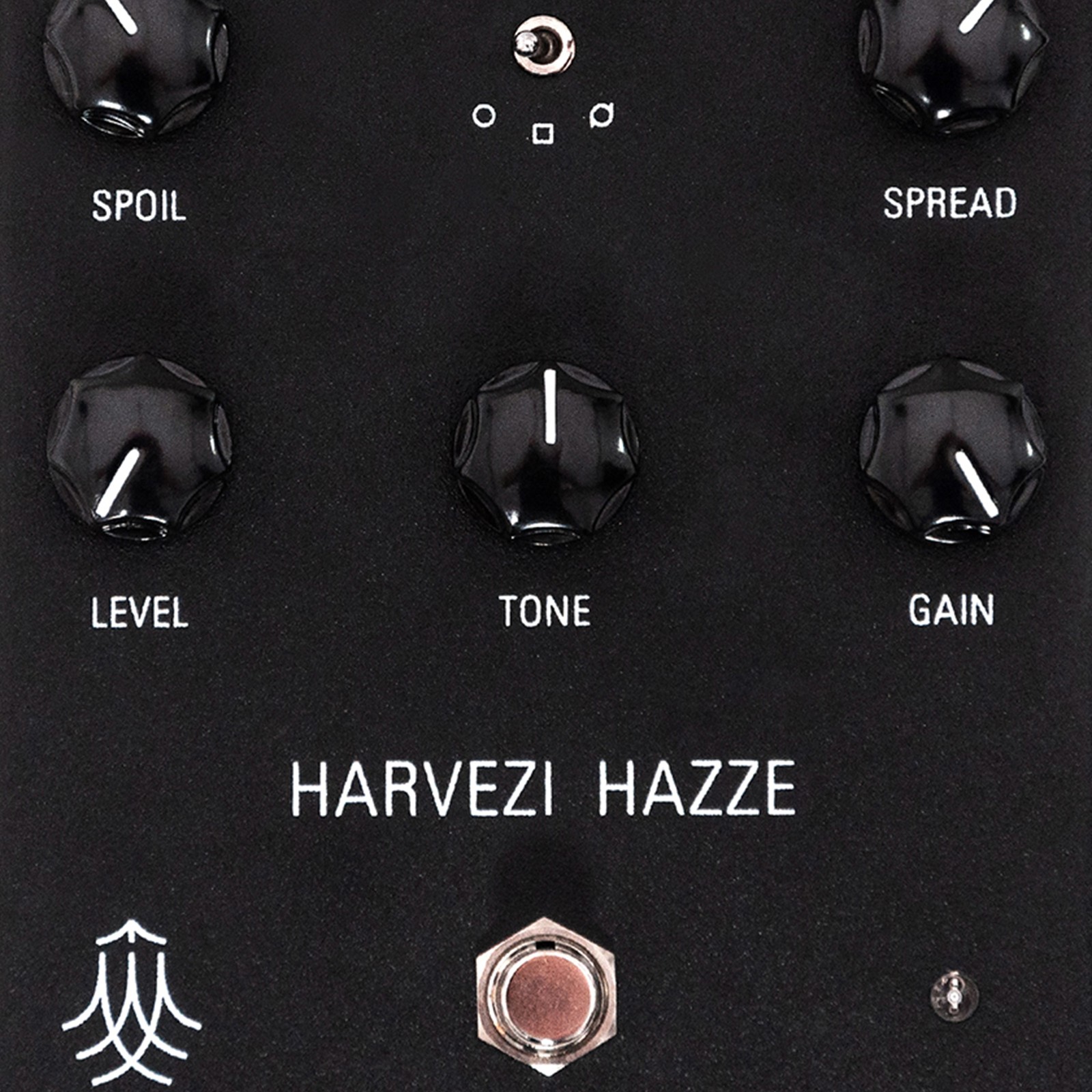 SOMA Harvezi Hazze, Detail