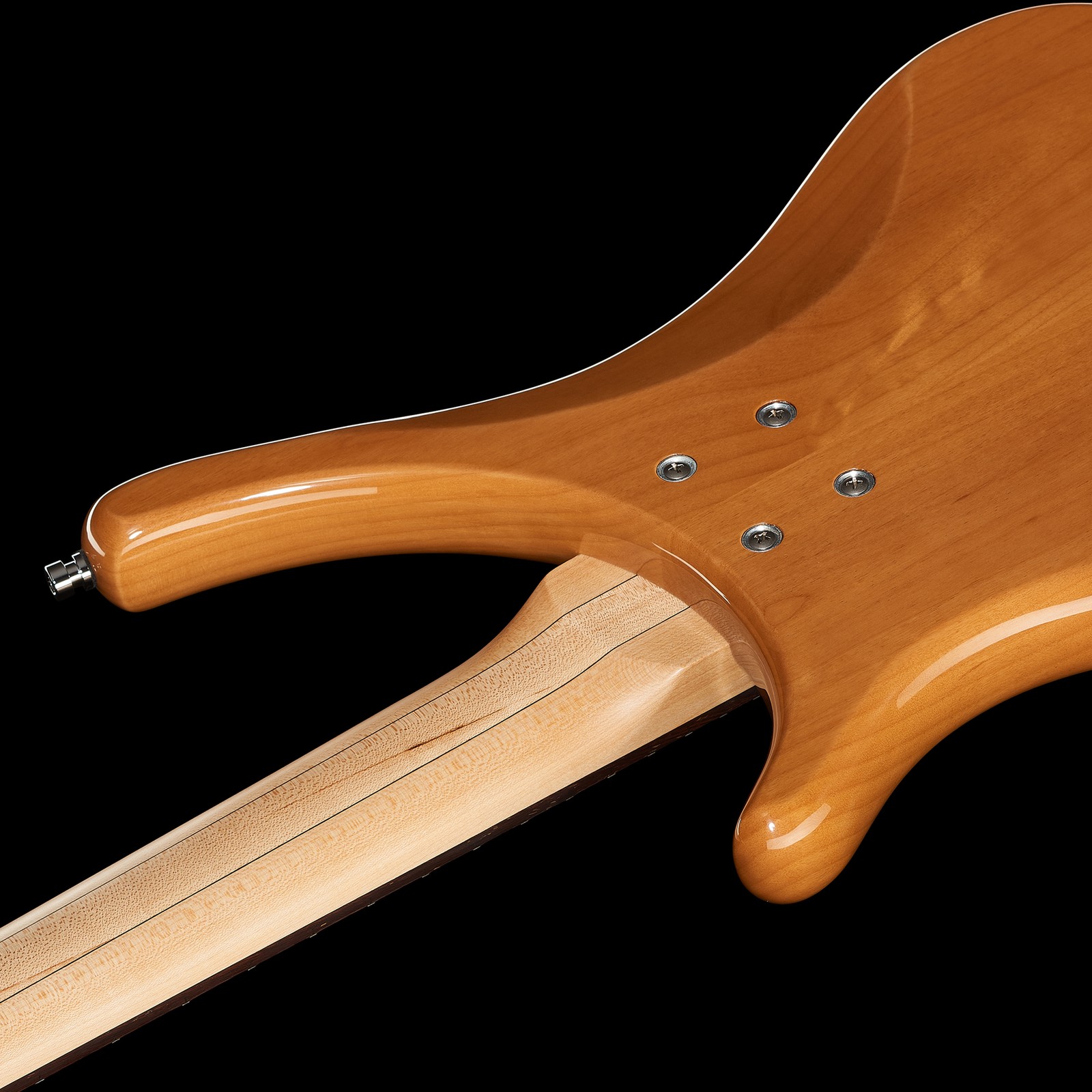 Warwick RockBass Infinity 5, rear view