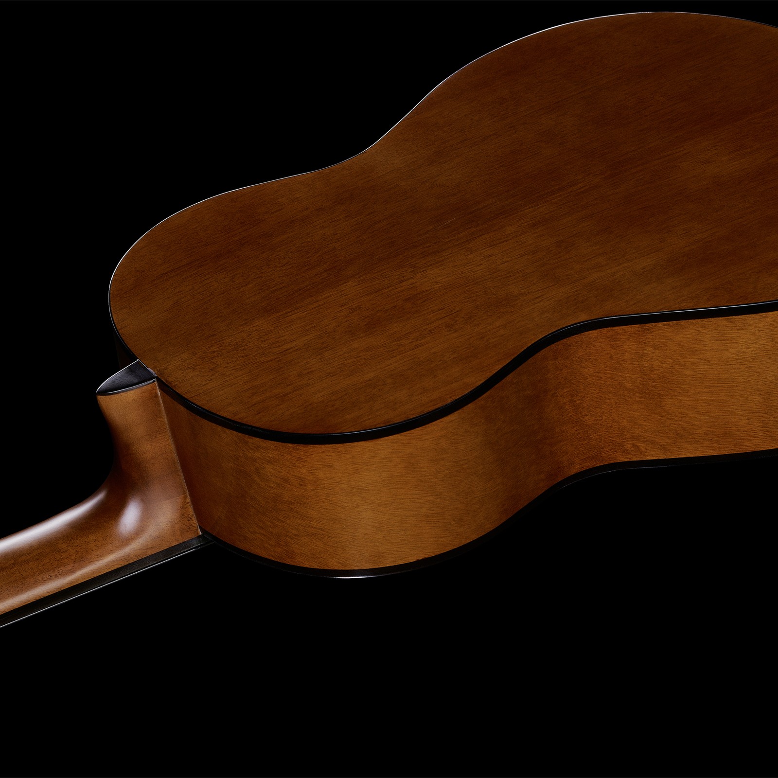 Gewa Student Solid Top Spruce 3/4 Rückseite