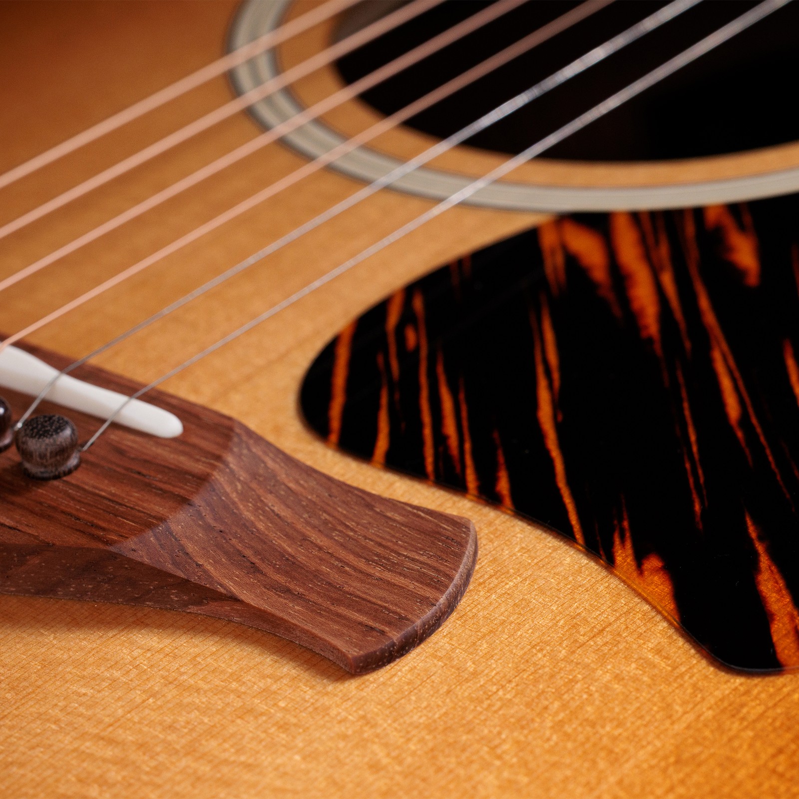 Taylor Gold Label 517e Sunburst Firestripe, acoustic steel-string guitar, detail