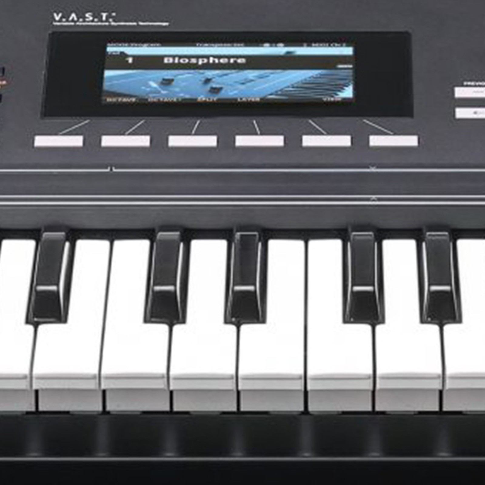 Kurzweil K2061, Detail
