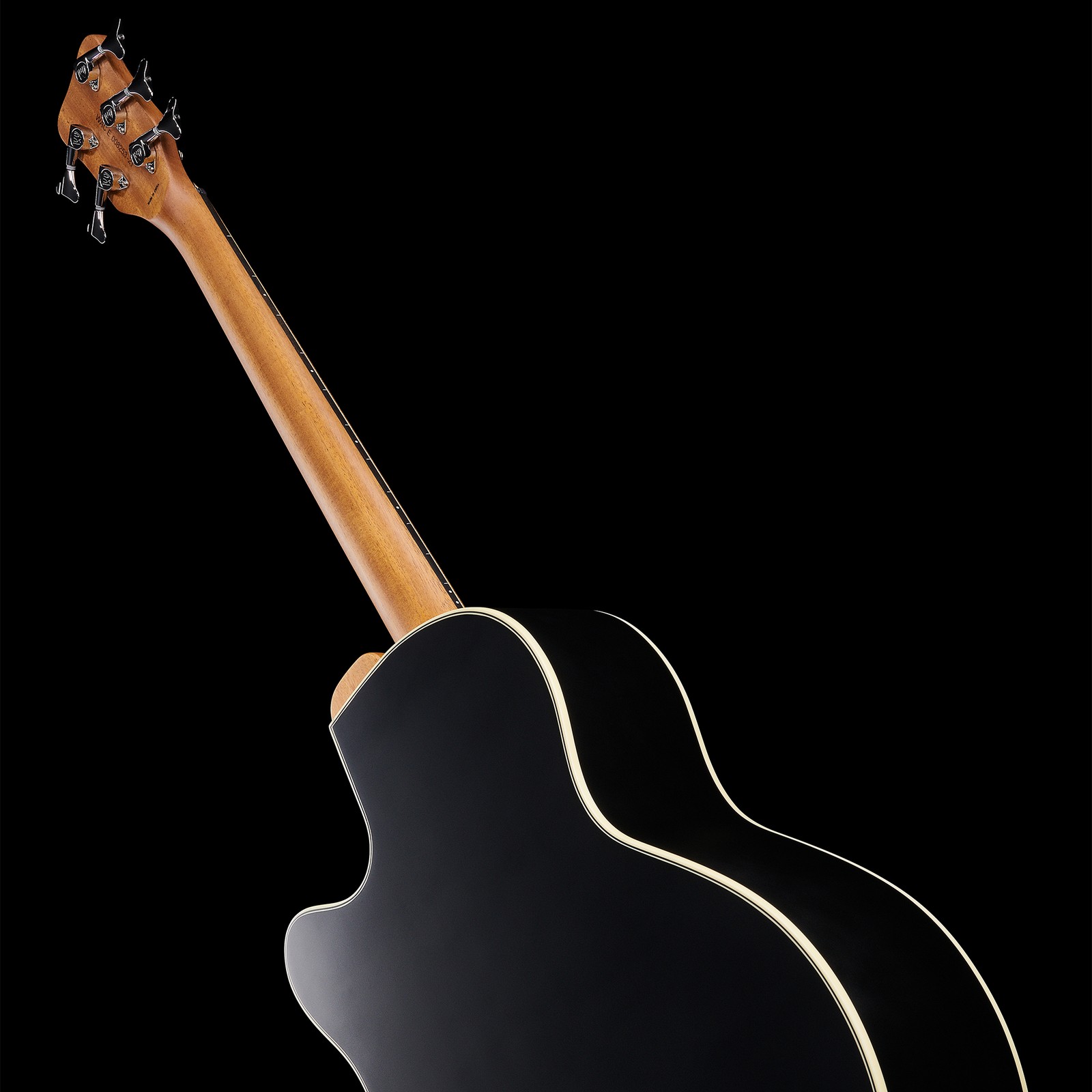 Rear view, Warwick RockBass Alien Standard 5 Black Fretless, five-string bass