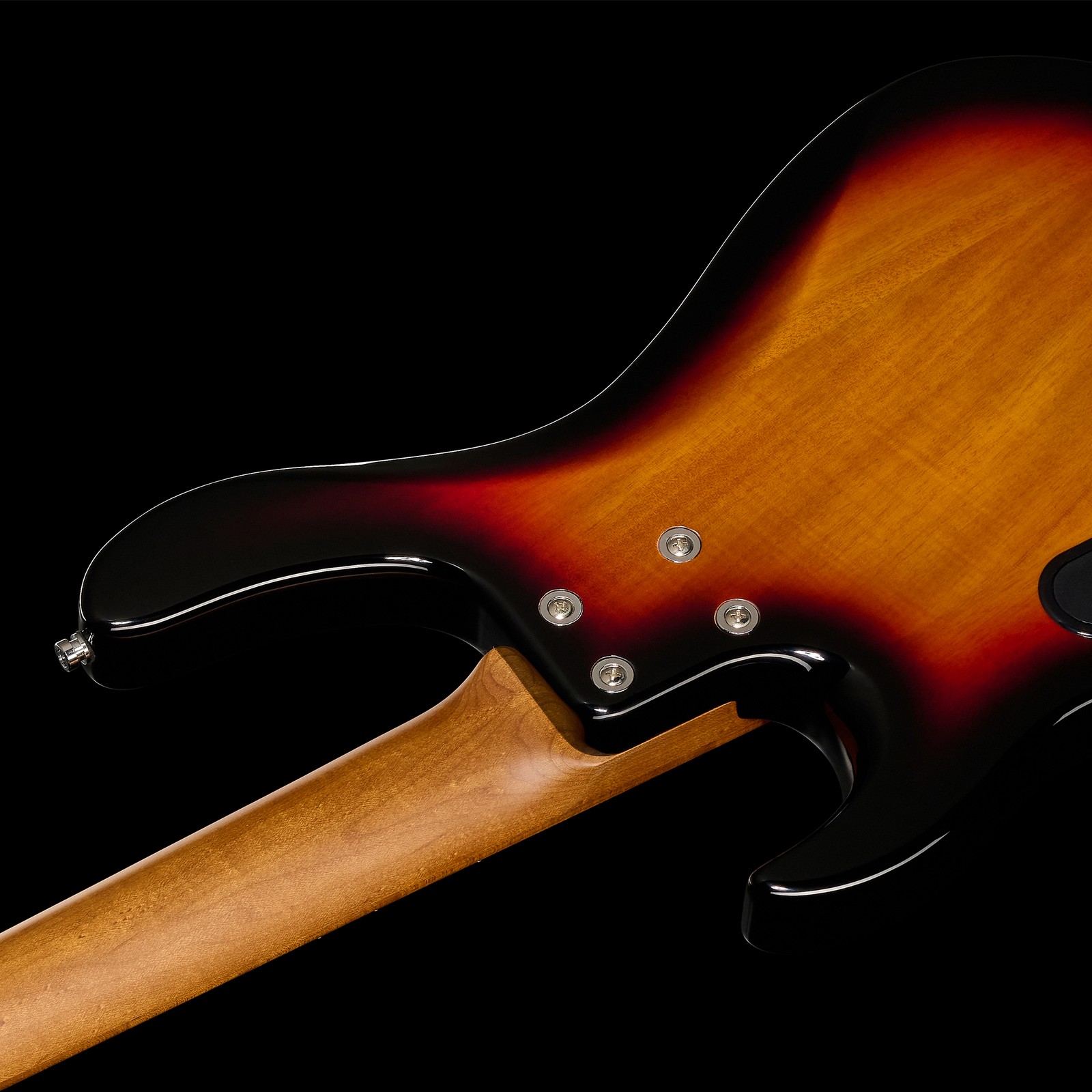 Rear view, Sadowsky MetroExpress 24-4 Modern Maple Tobacco Sunburst, bass guitar