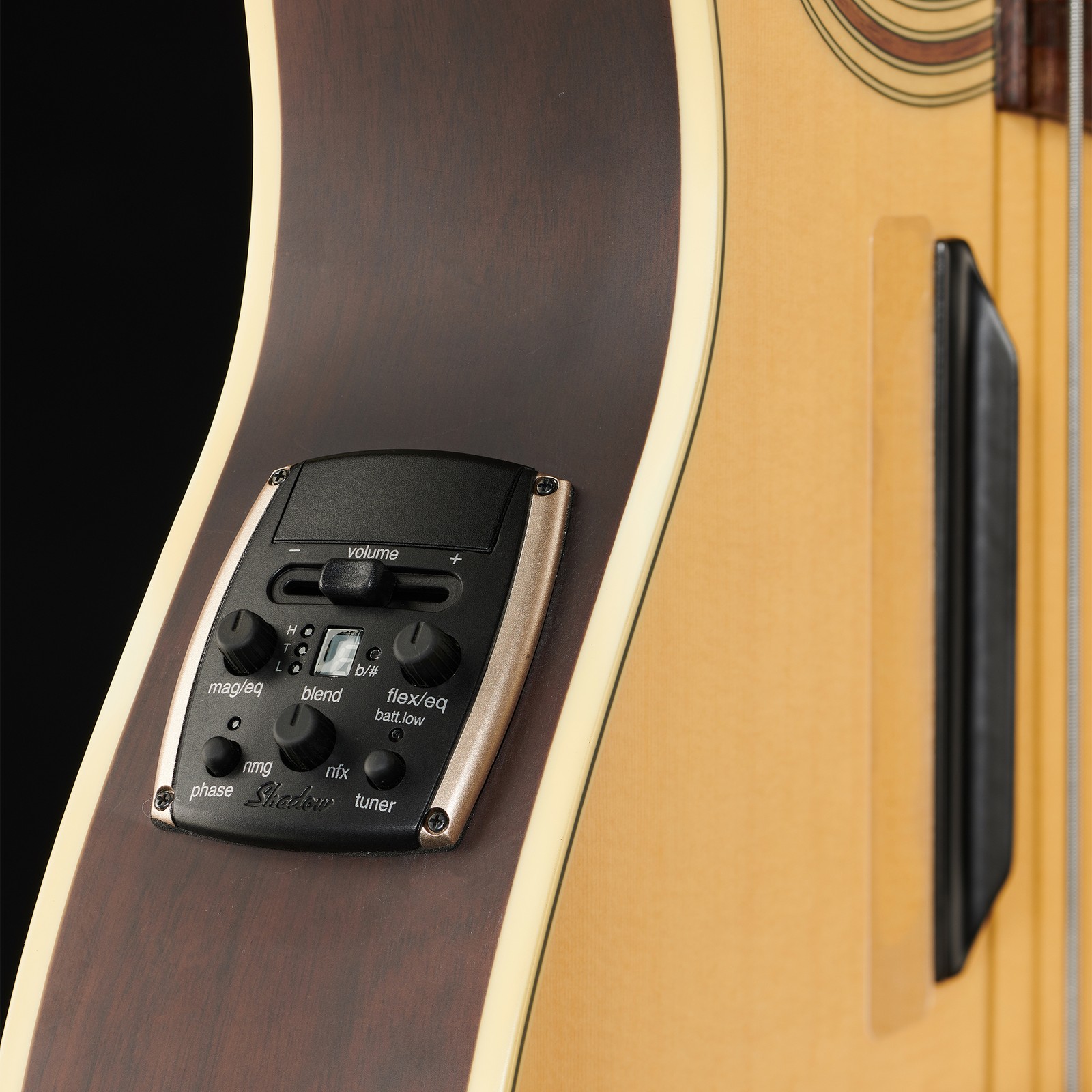 Preamp, Warwick Alien Deluxe 4 Hybrid Thinline, amplified acoustic bass