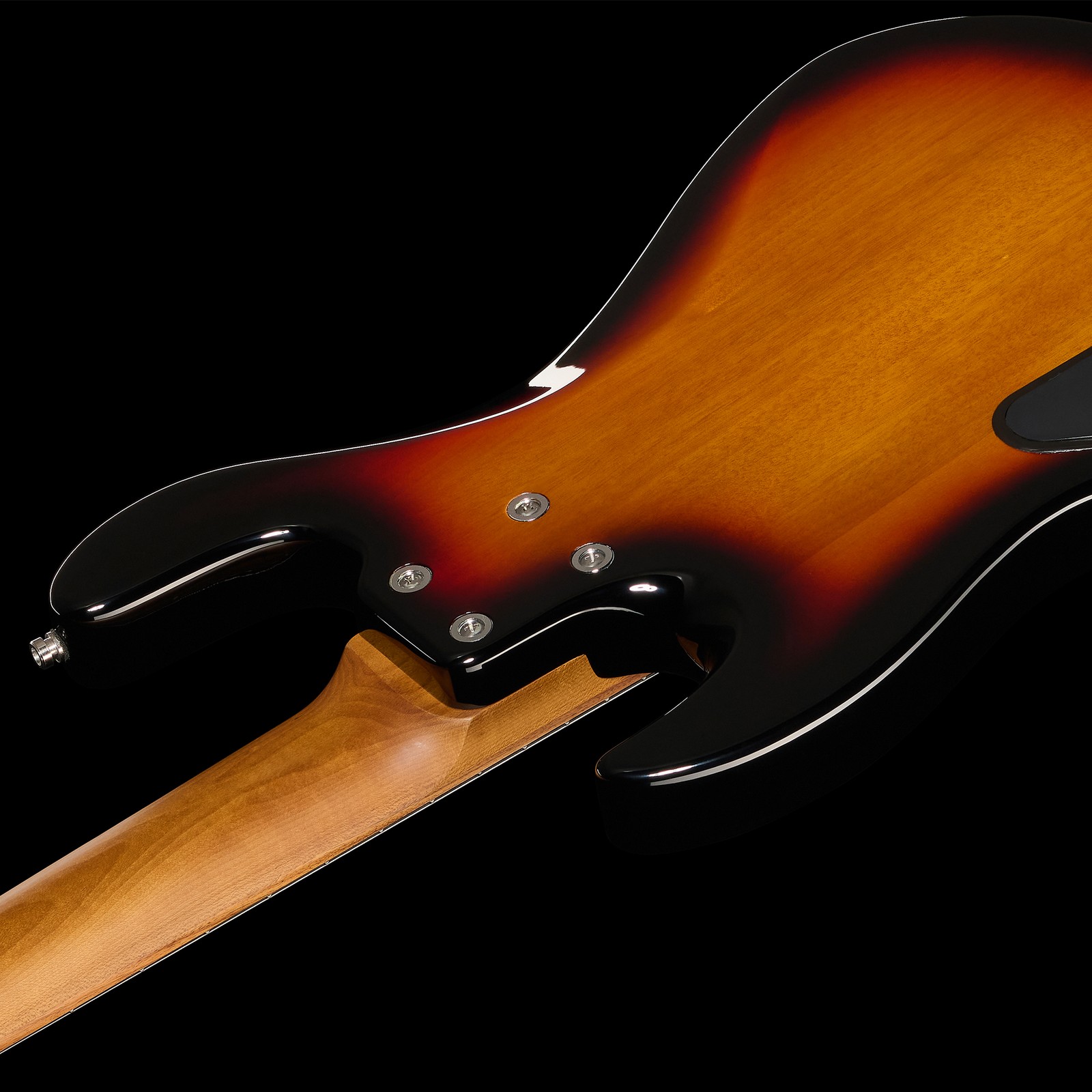 Sadowsky MetroExpress 21 Vintage M5 Morado TSB electric five-string bass, rear view