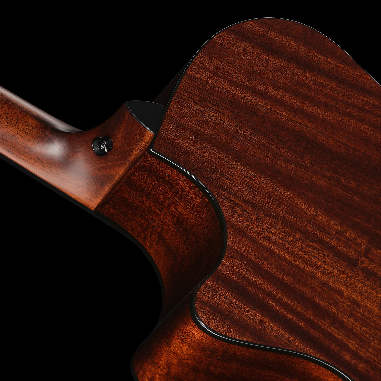 Halsübergang der Taylor 324ce Next Generation